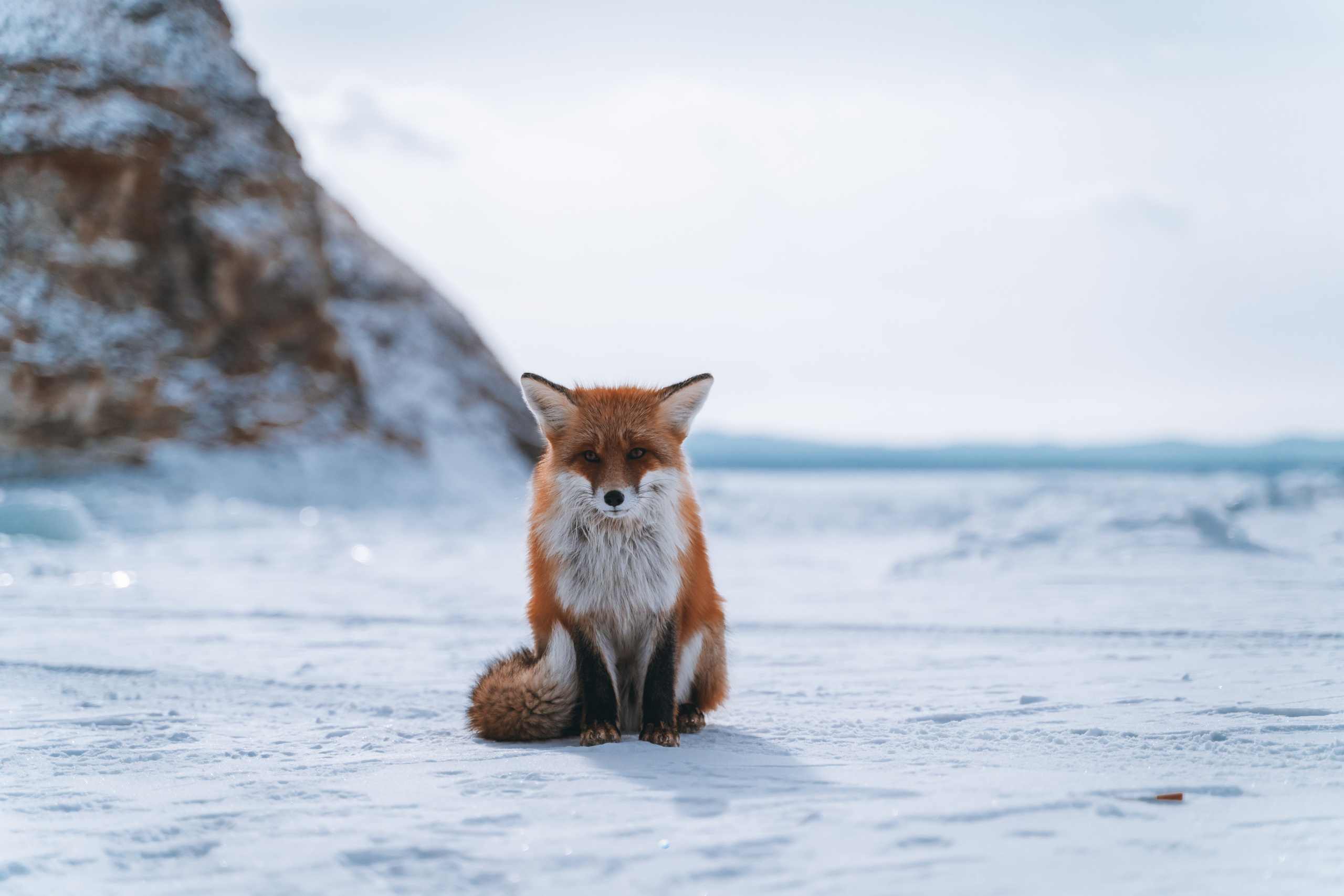 Байкал. Event фотограф Степанова Александра