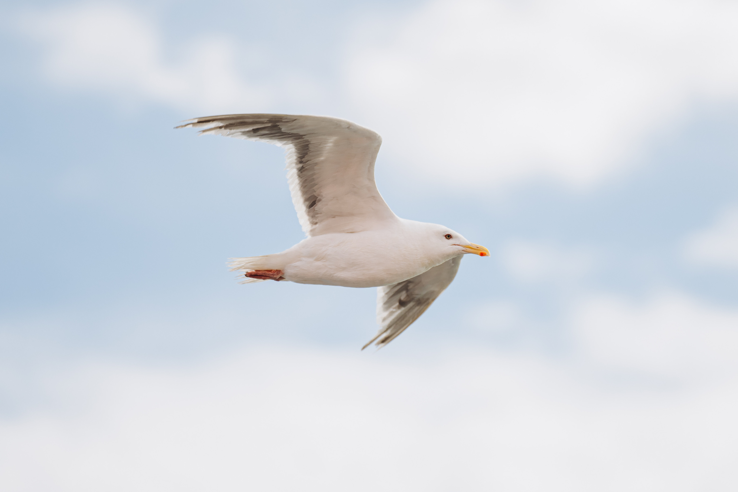 Сахалин. Event фотограф Степанова Александра