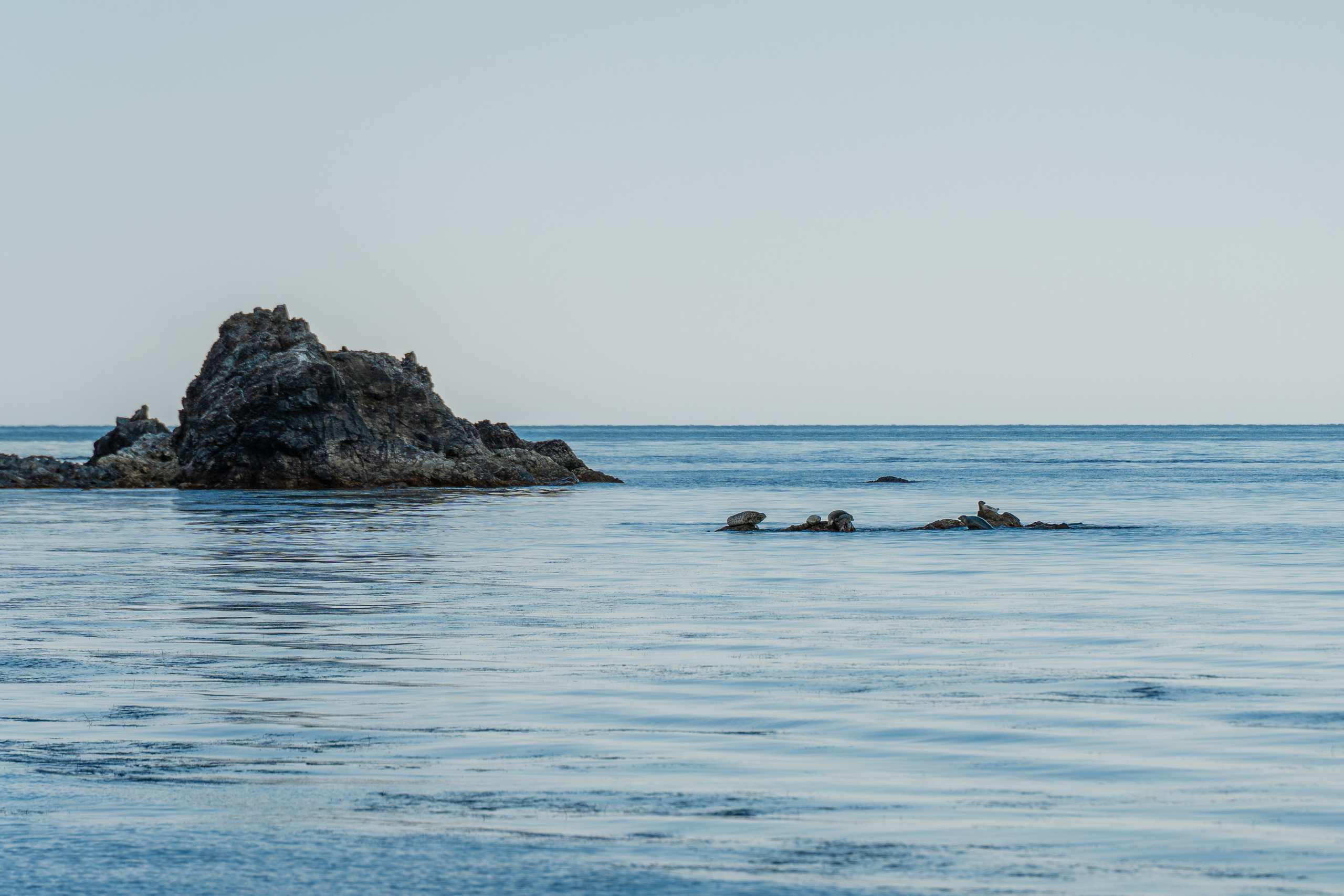 Сахалин. Event фотограф Степанова Александра