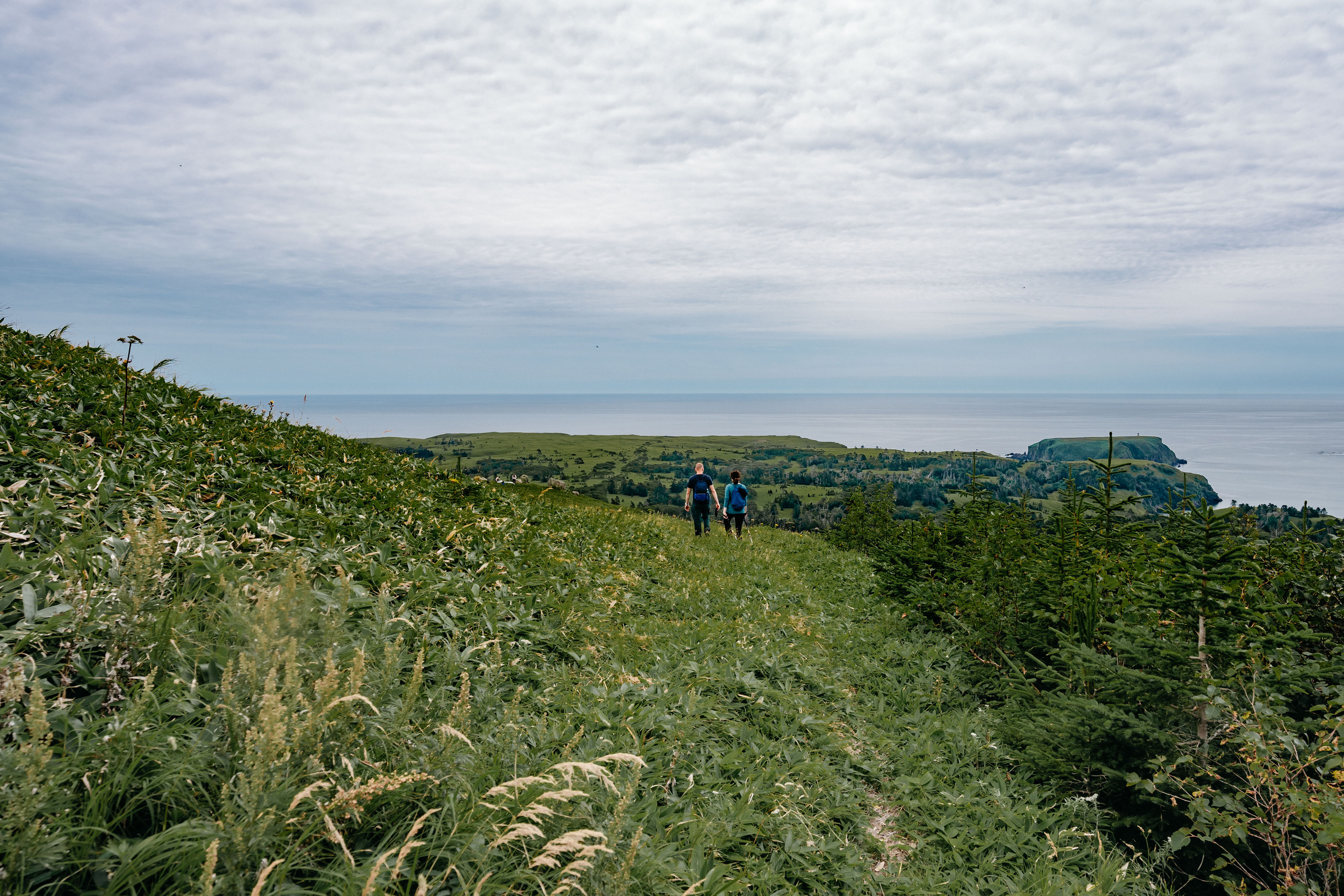 Сахалин. Event фотограф Степанова Александра