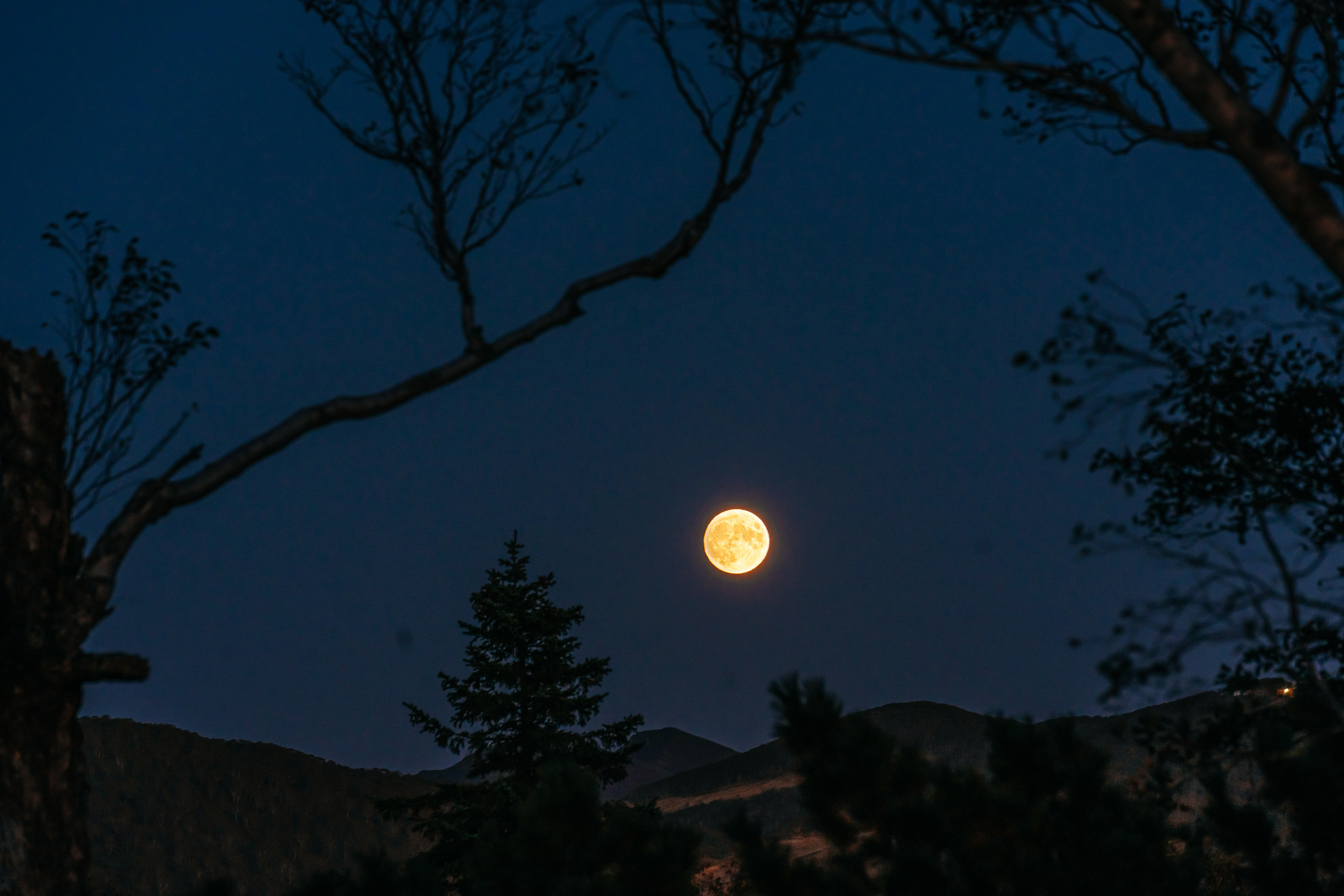 Сахалин. Event фотограф Степанова Александра