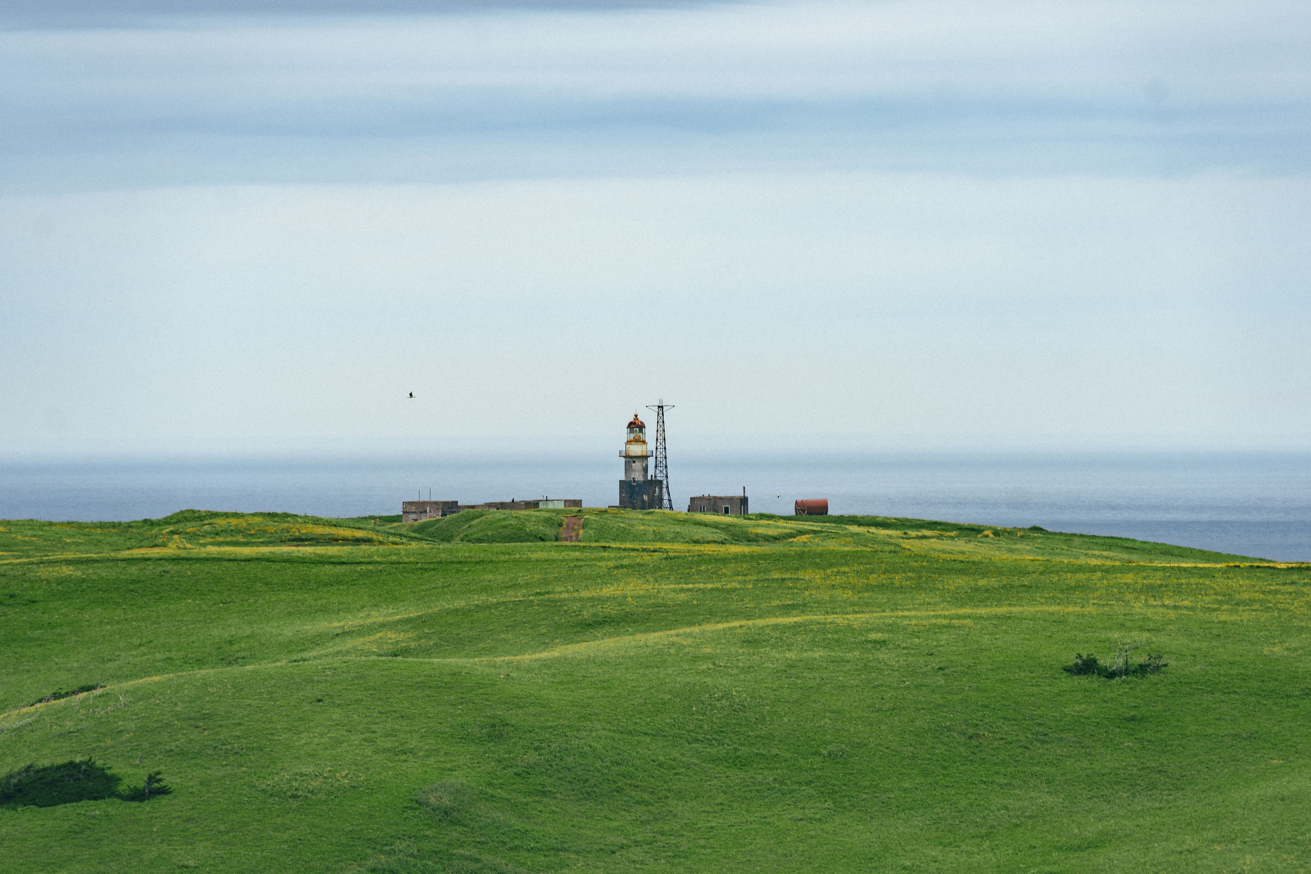 Сахалин. Event фотограф Степанова Александра