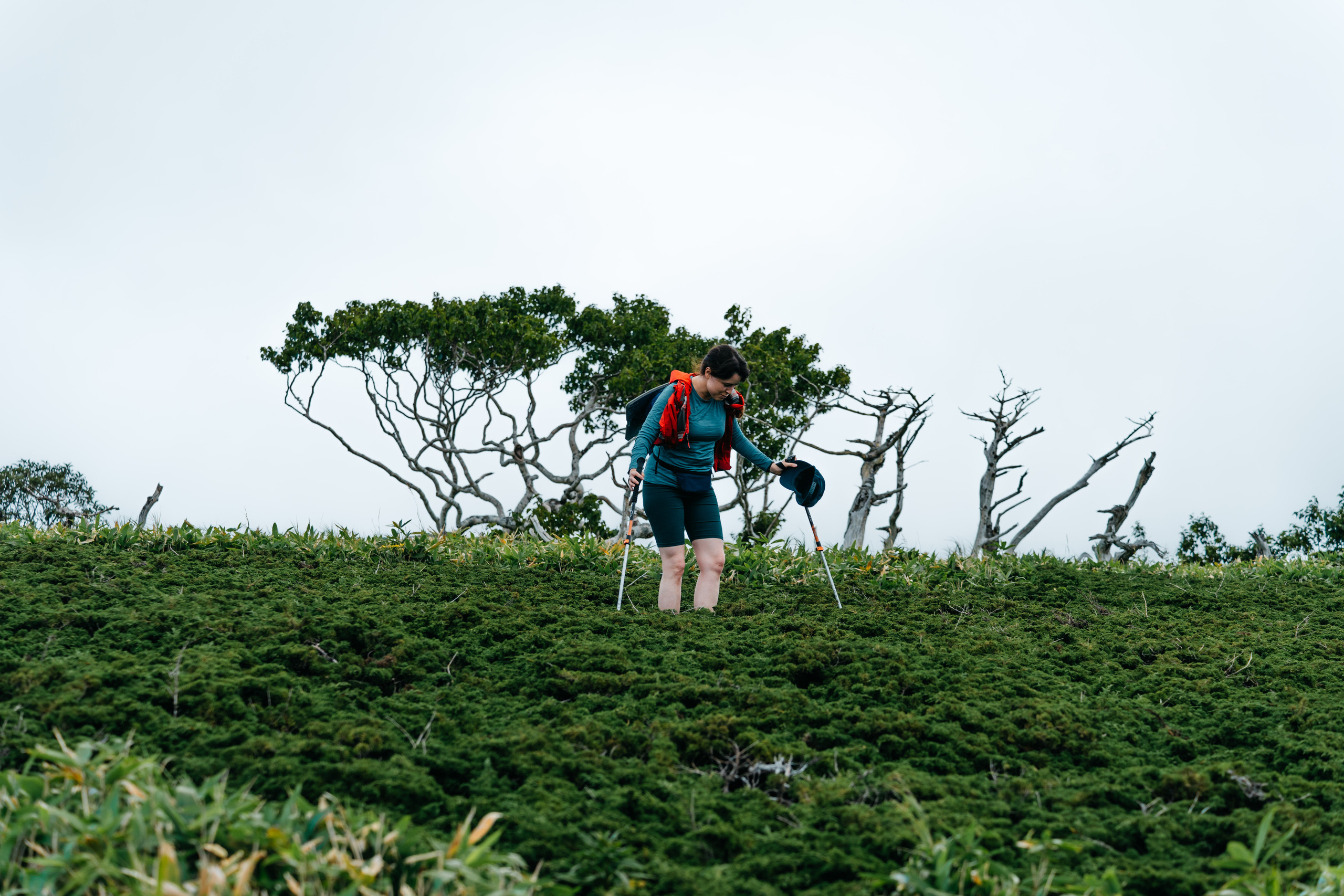 Сахалин. Event фотограф Степанова Александра