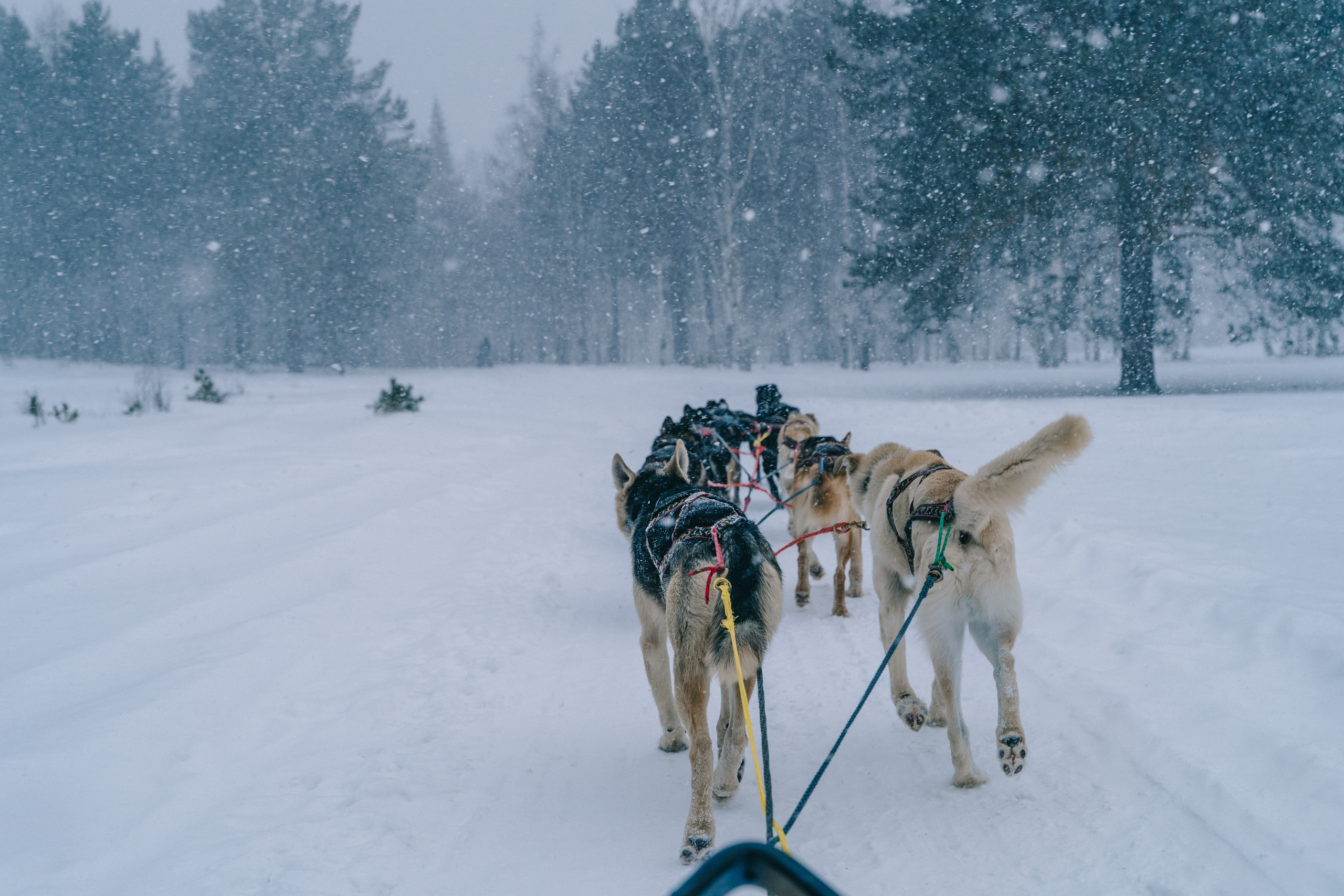 Байкал. Event фотограф Степанова Александра
