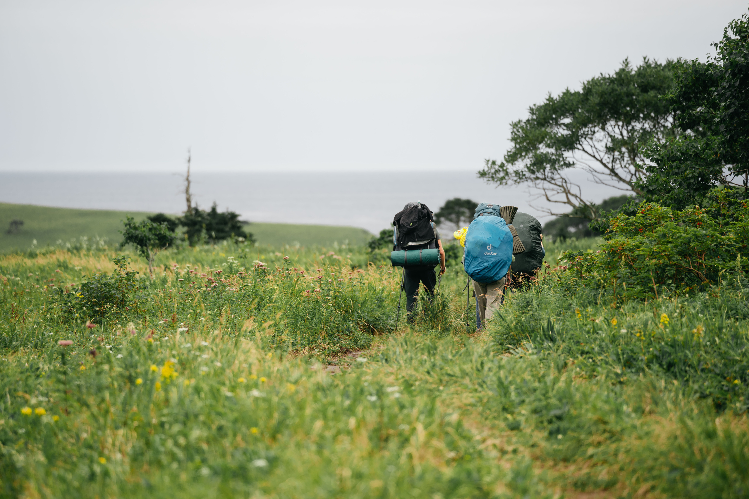 Сахалин. Event фотограф Степанова Александра