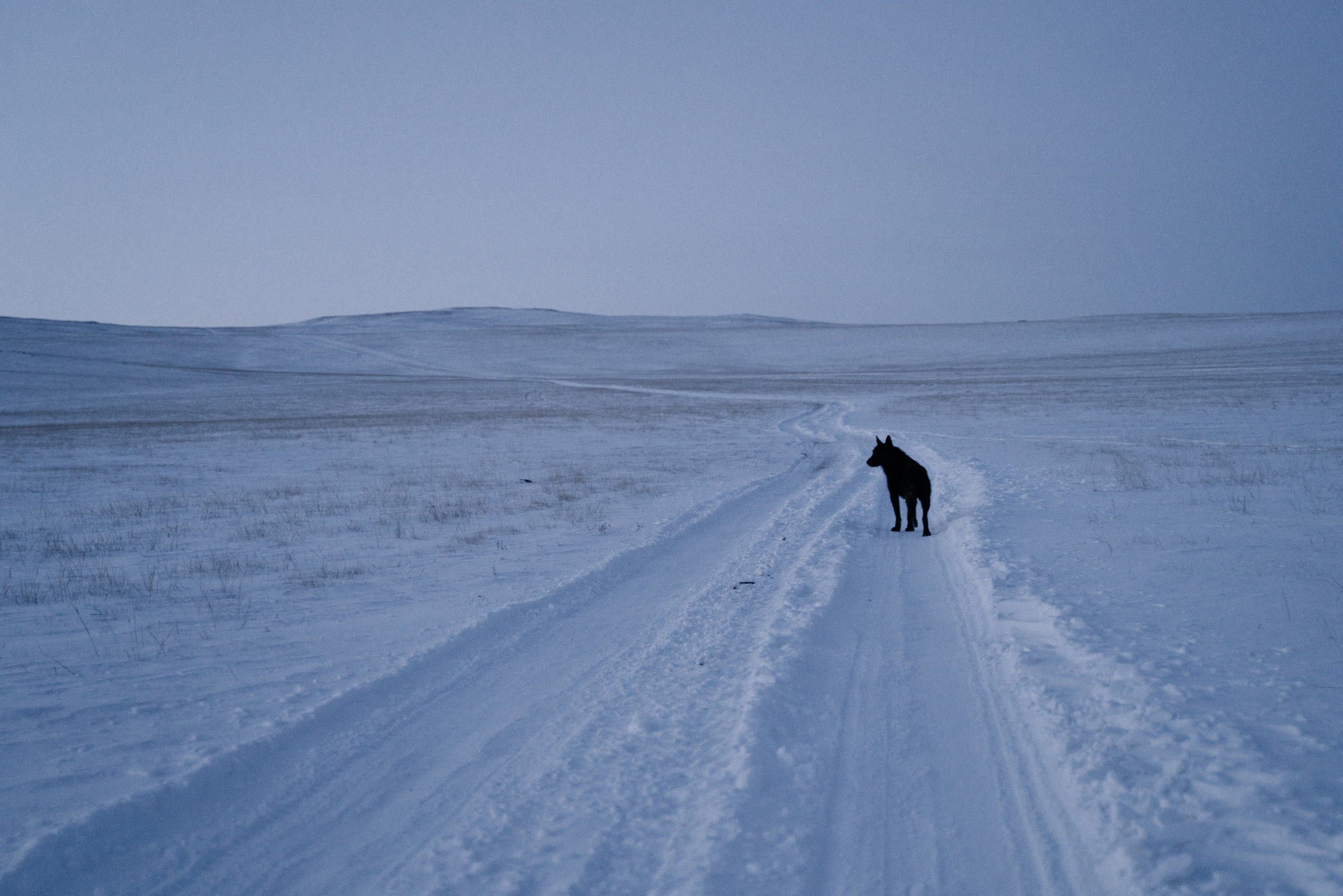 Байкал. Event фотограф Степанова Александра