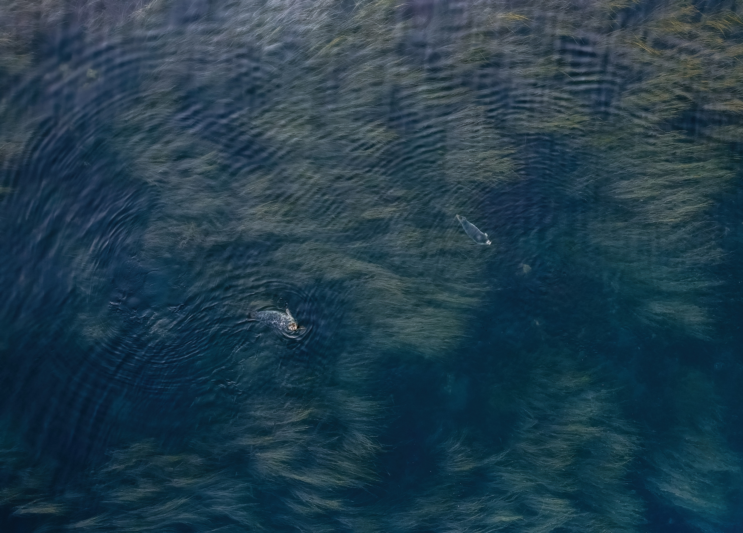 Сахалин. Event фотограф Степанова Александра