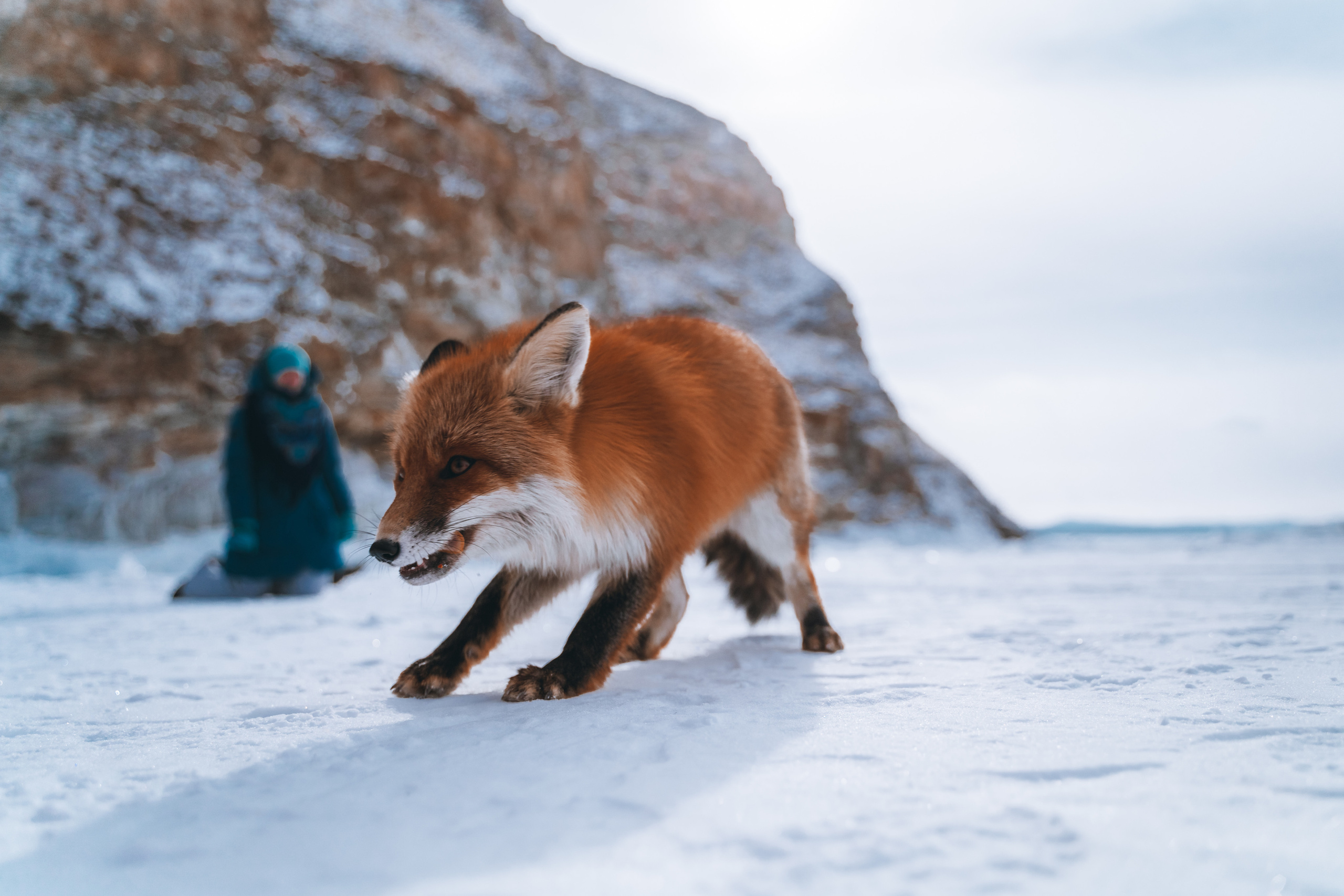 Байкал. Event фотограф Степанова Александра