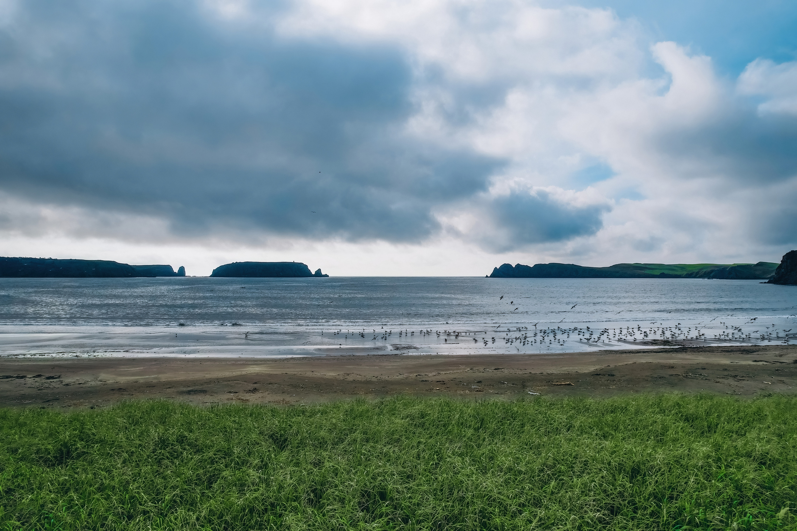 Сахалин. Event фотограф Степанова Александра