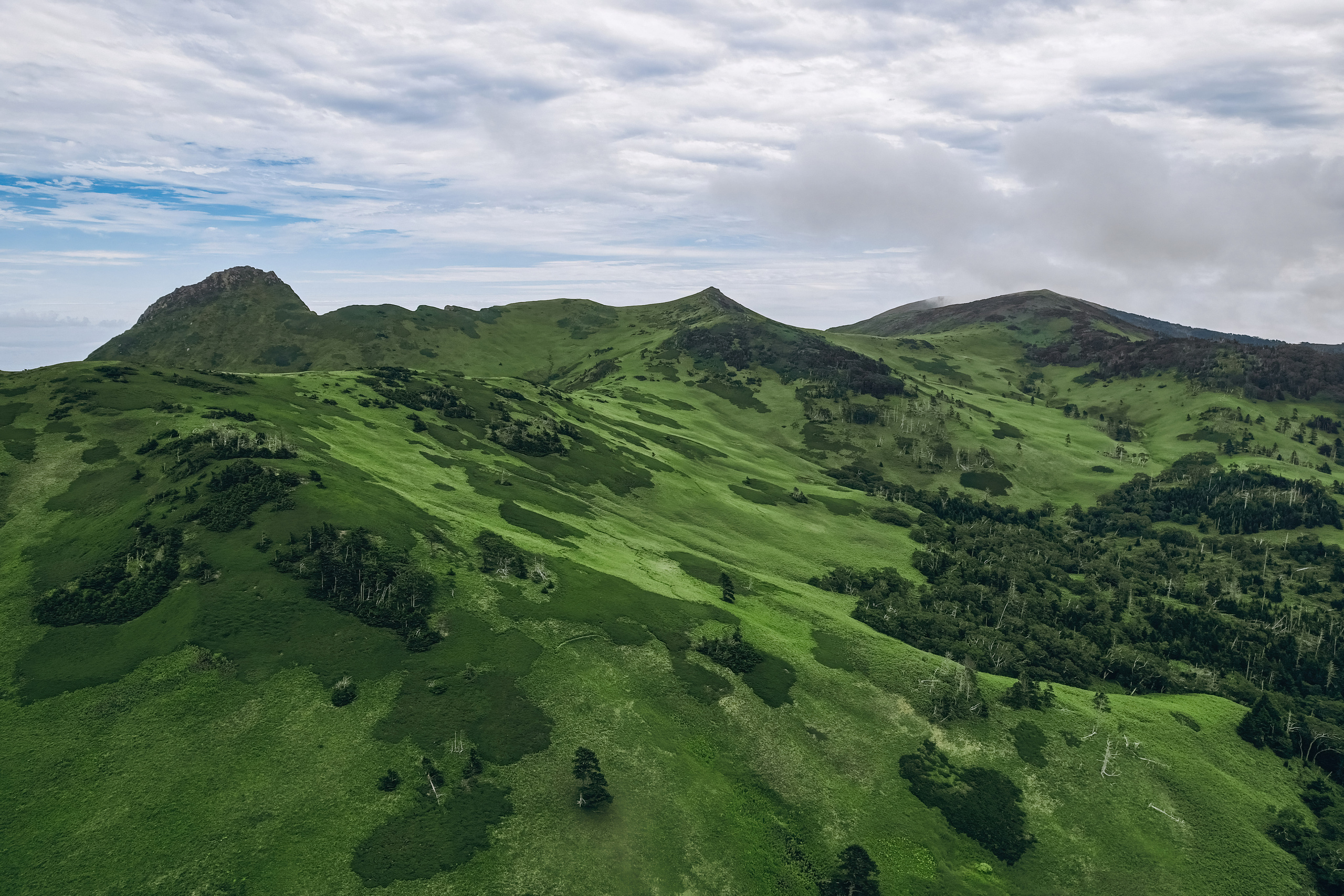 Сахалин. Event фотограф Степанова Александра