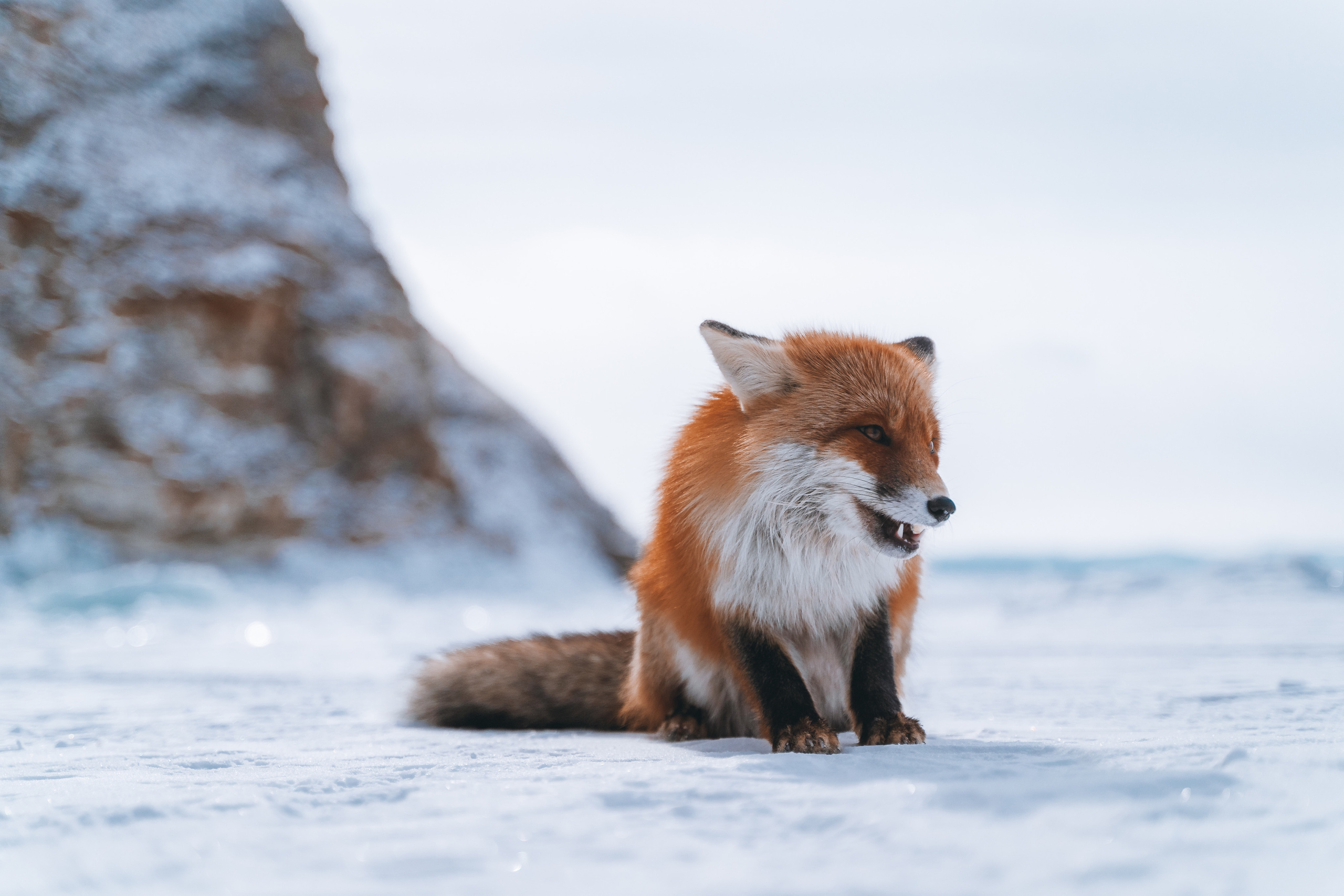 Байкал. Event фотограф Степанова Александра
