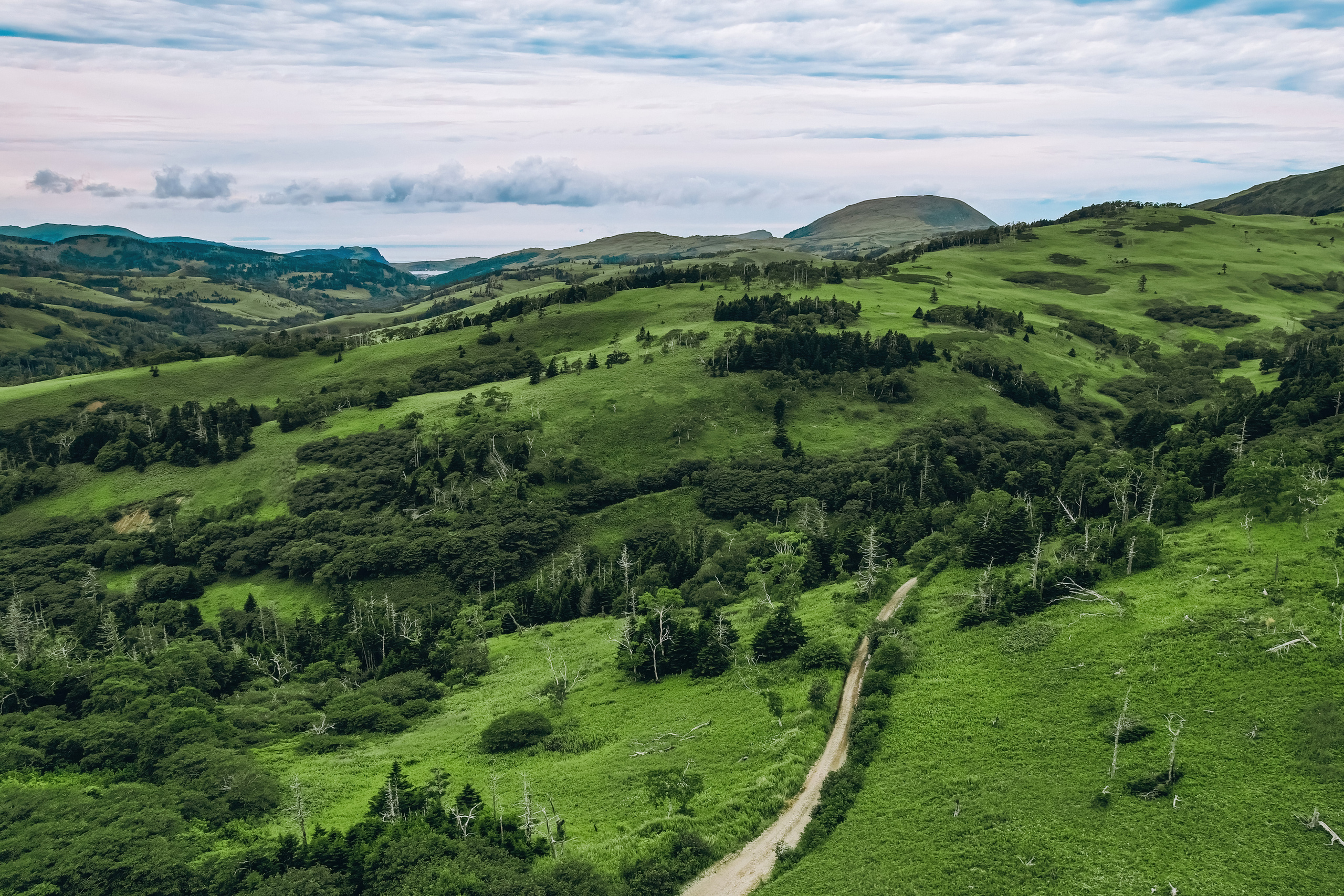 Сахалин. Event фотограф Степанова Александра