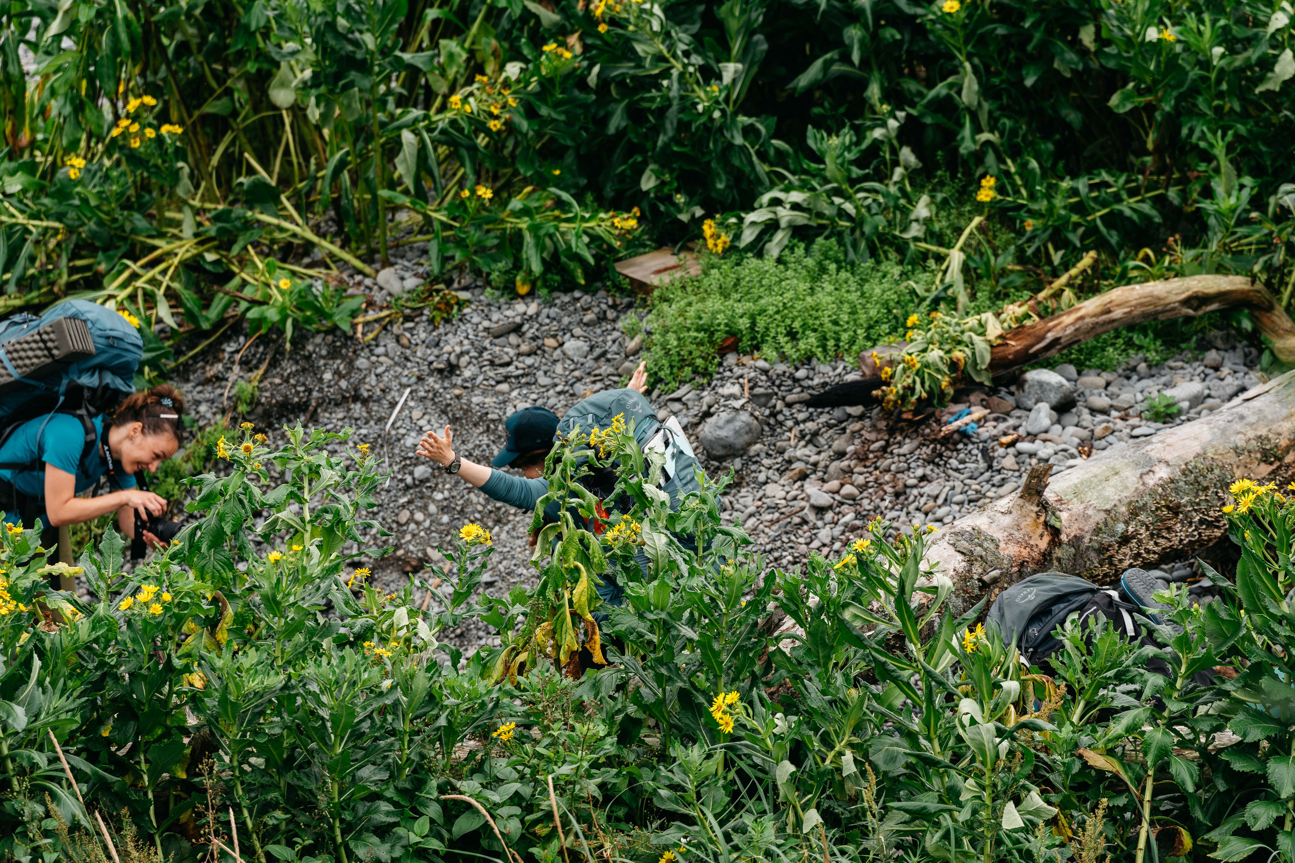 Сахалин. Event фотограф Степанова Александра