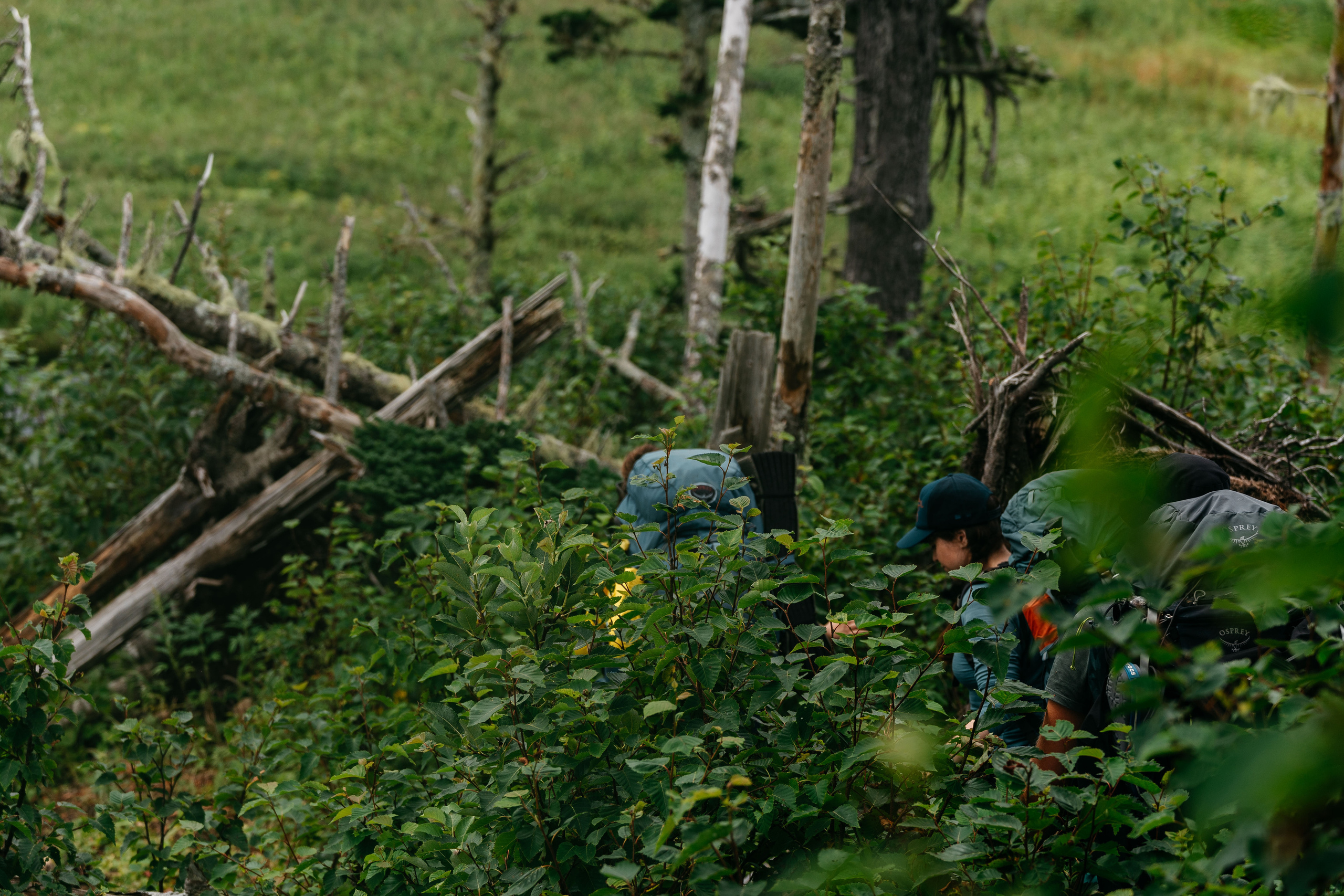 Сахалин. Event фотограф Степанова Александра