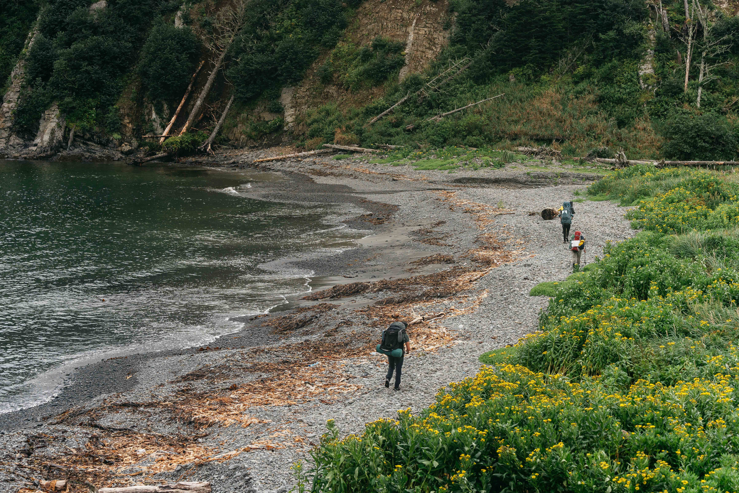Сахалин. Event фотограф Степанова Александра