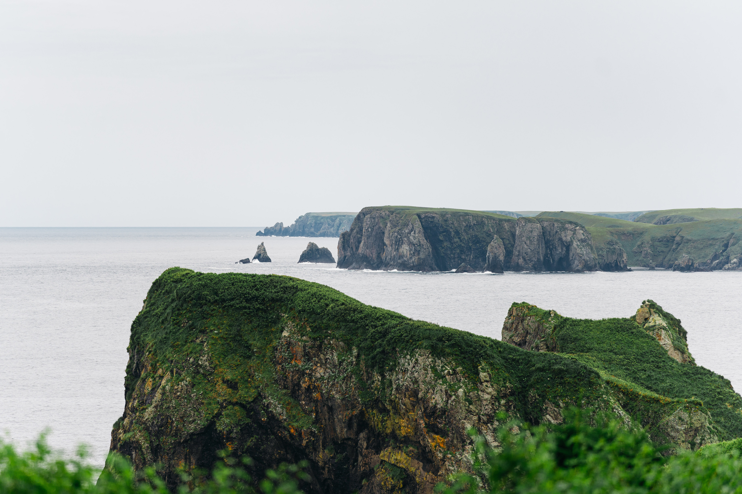 Сахалин. Event фотограф Степанова Александра