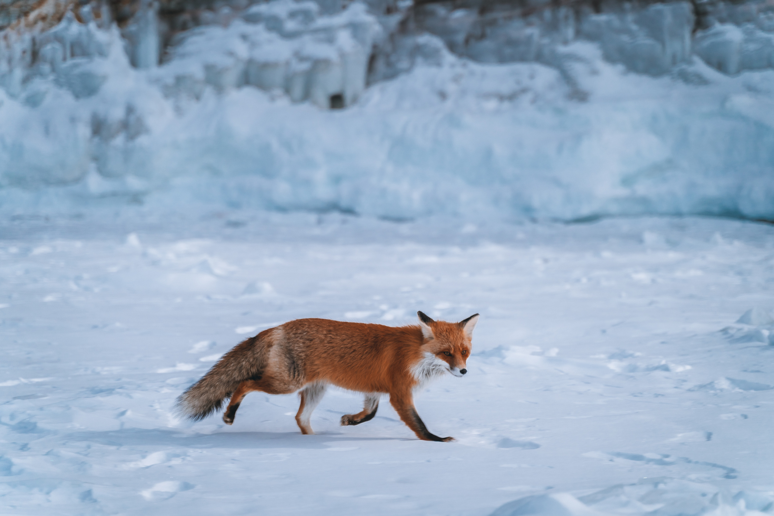 Байкал. Event фотограф Степанова Александра
