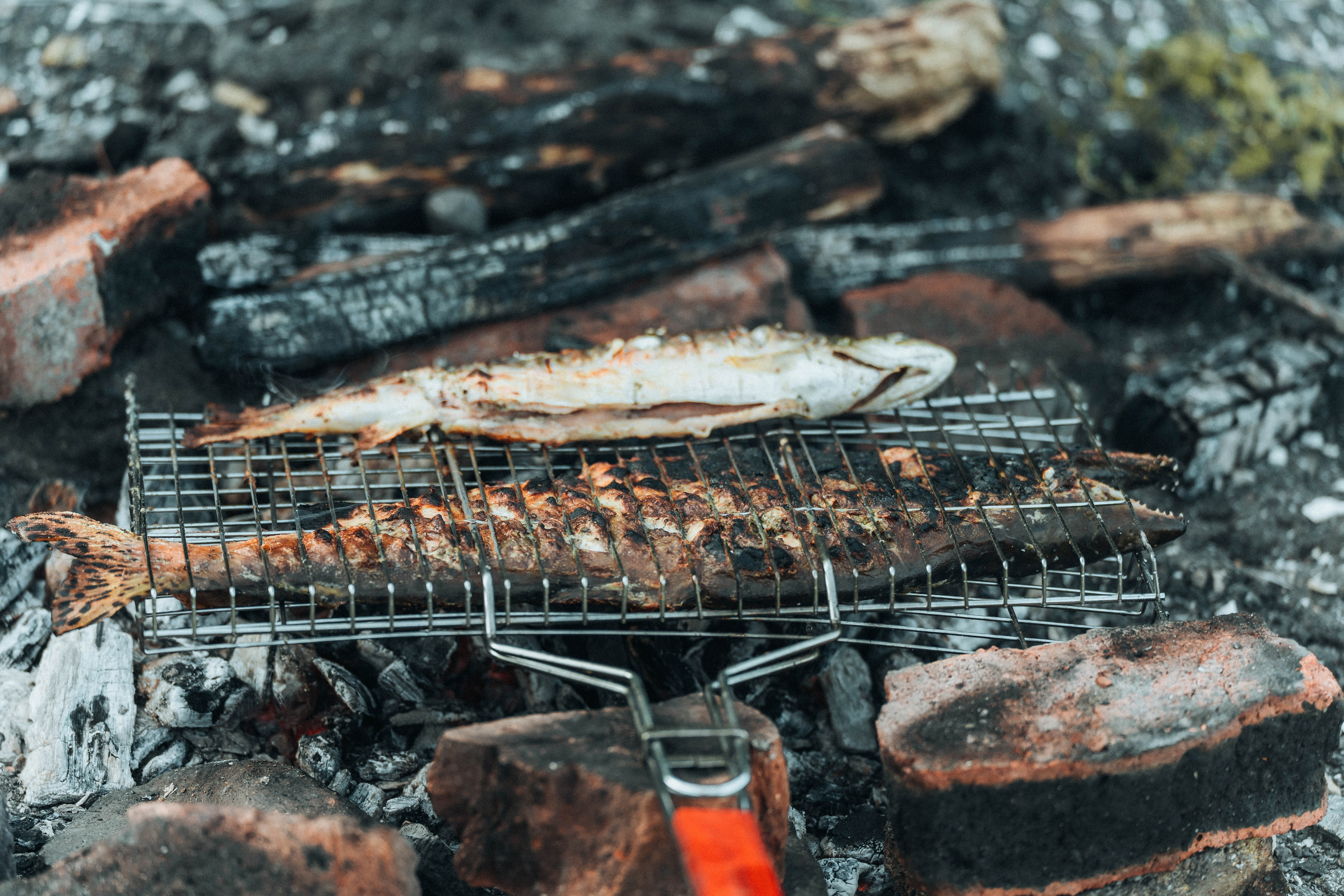 Сахалин. Event фотограф Степанова Александра