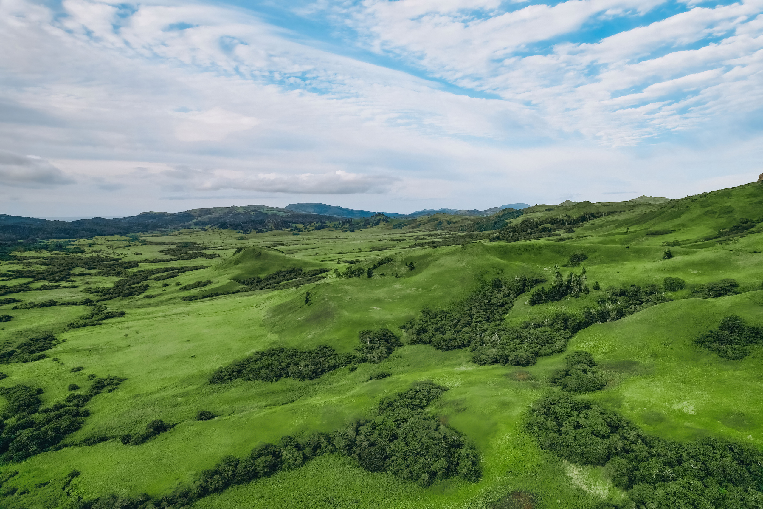 Сахалин. Event фотограф Степанова Александра