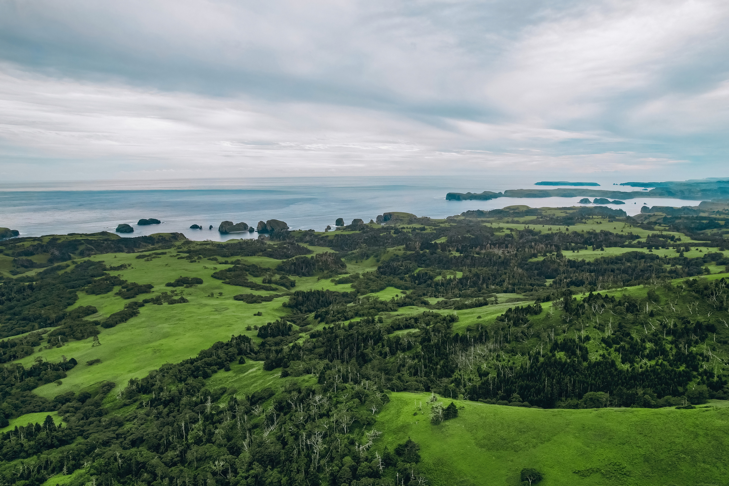 Сахалин. Event фотограф Степанова Александра