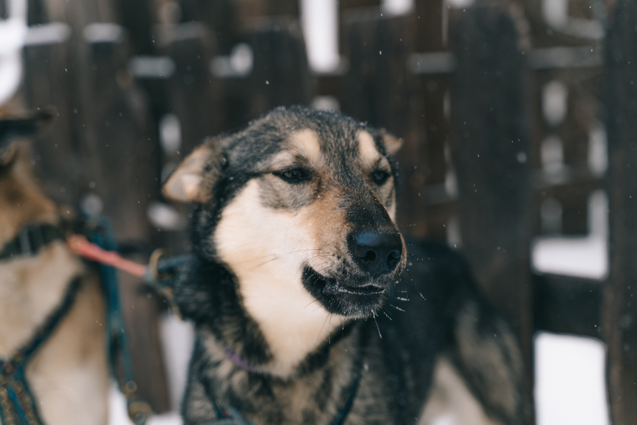 Байкал. Event фотограф Степанова Александра