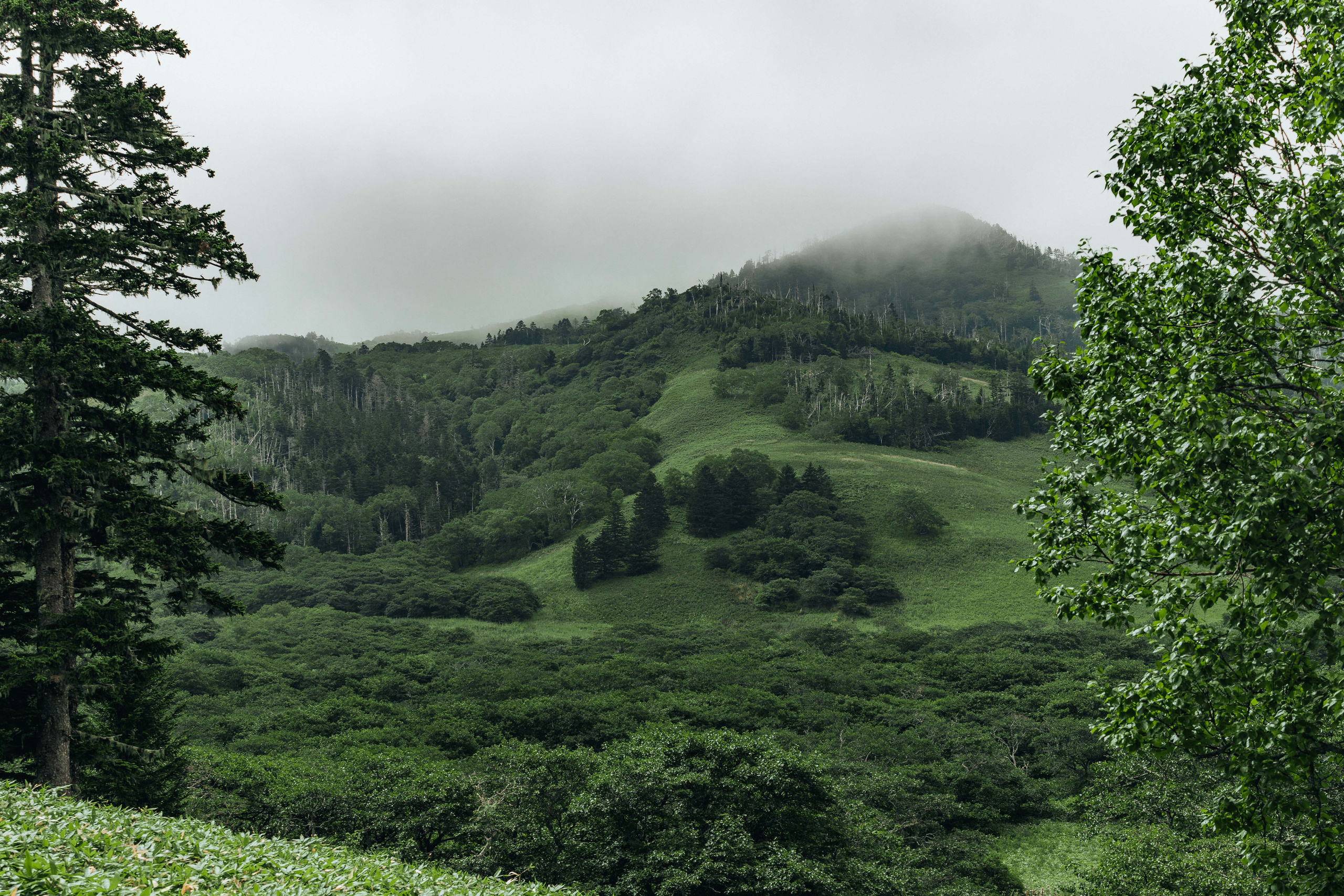 Сахалин. Event фотограф Степанова Александра