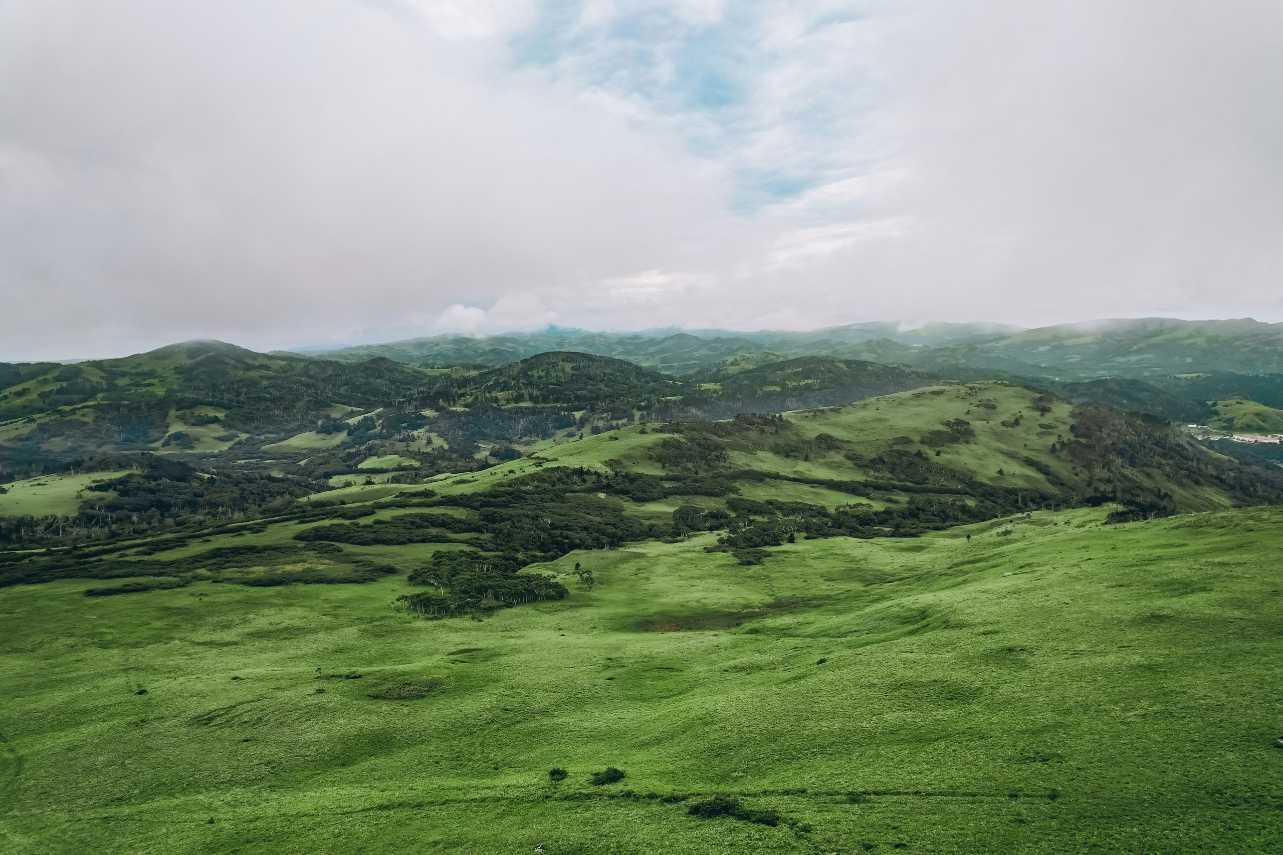Сахалин. Event фотограф Степанова Александра