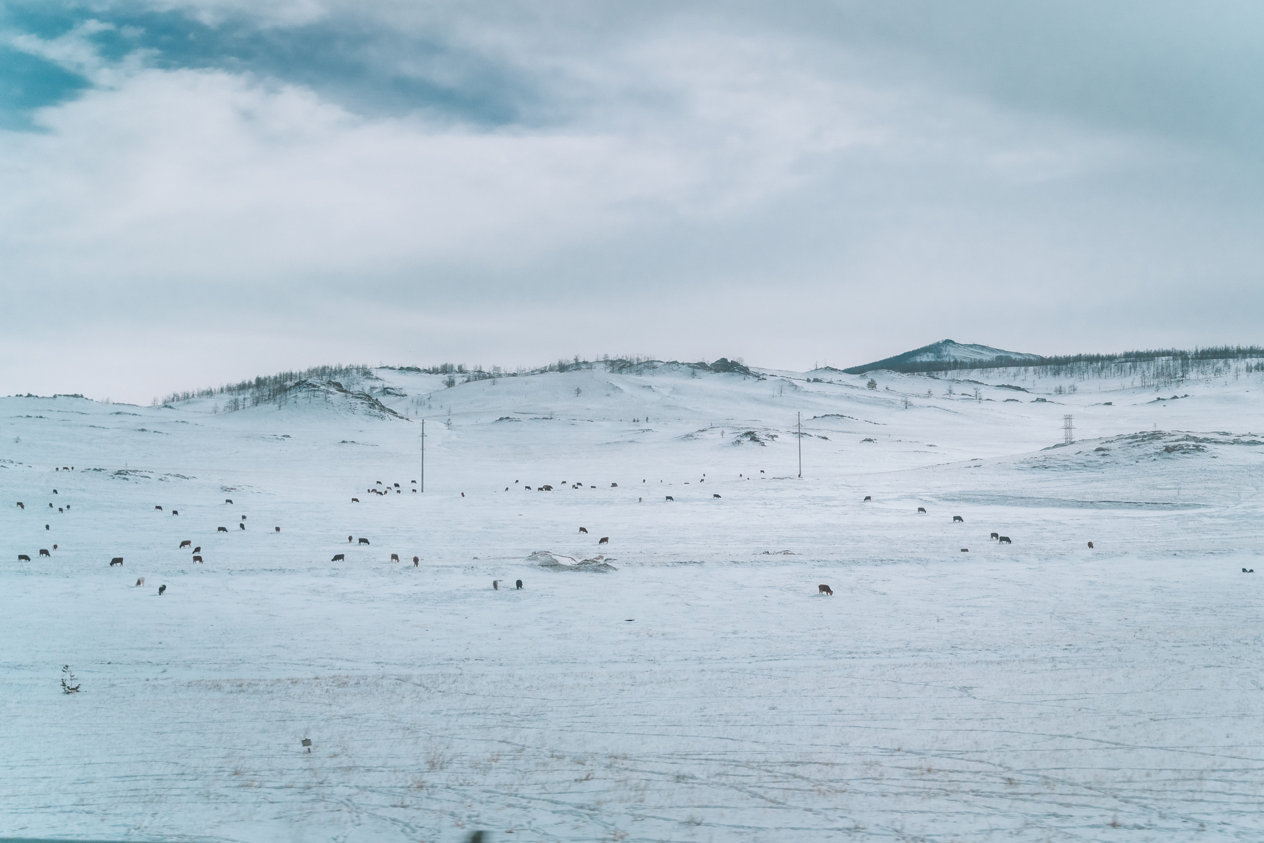 Байкал. Event фотограф Степанова Александра