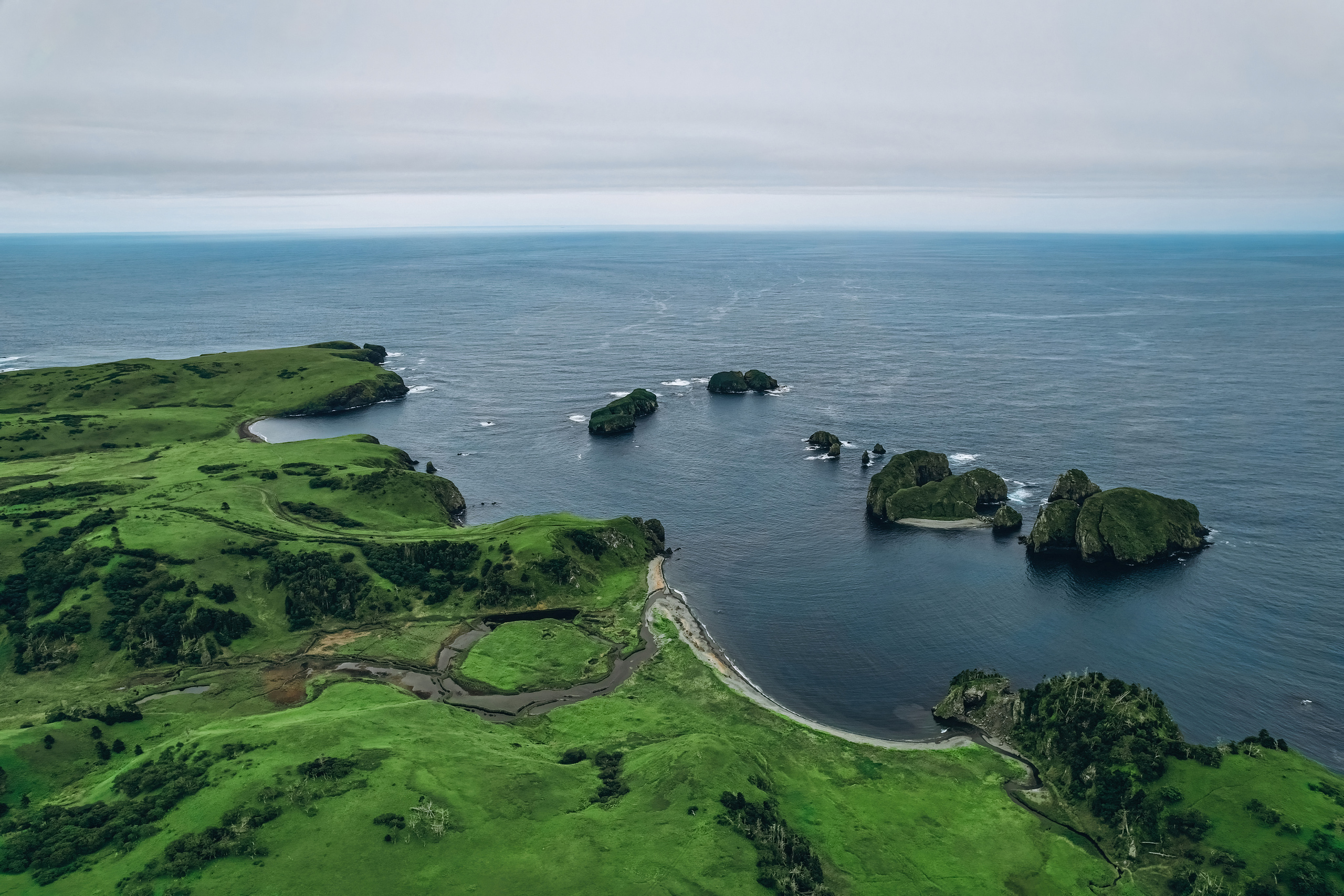 Сахалин. Event фотограф Степанова Александра