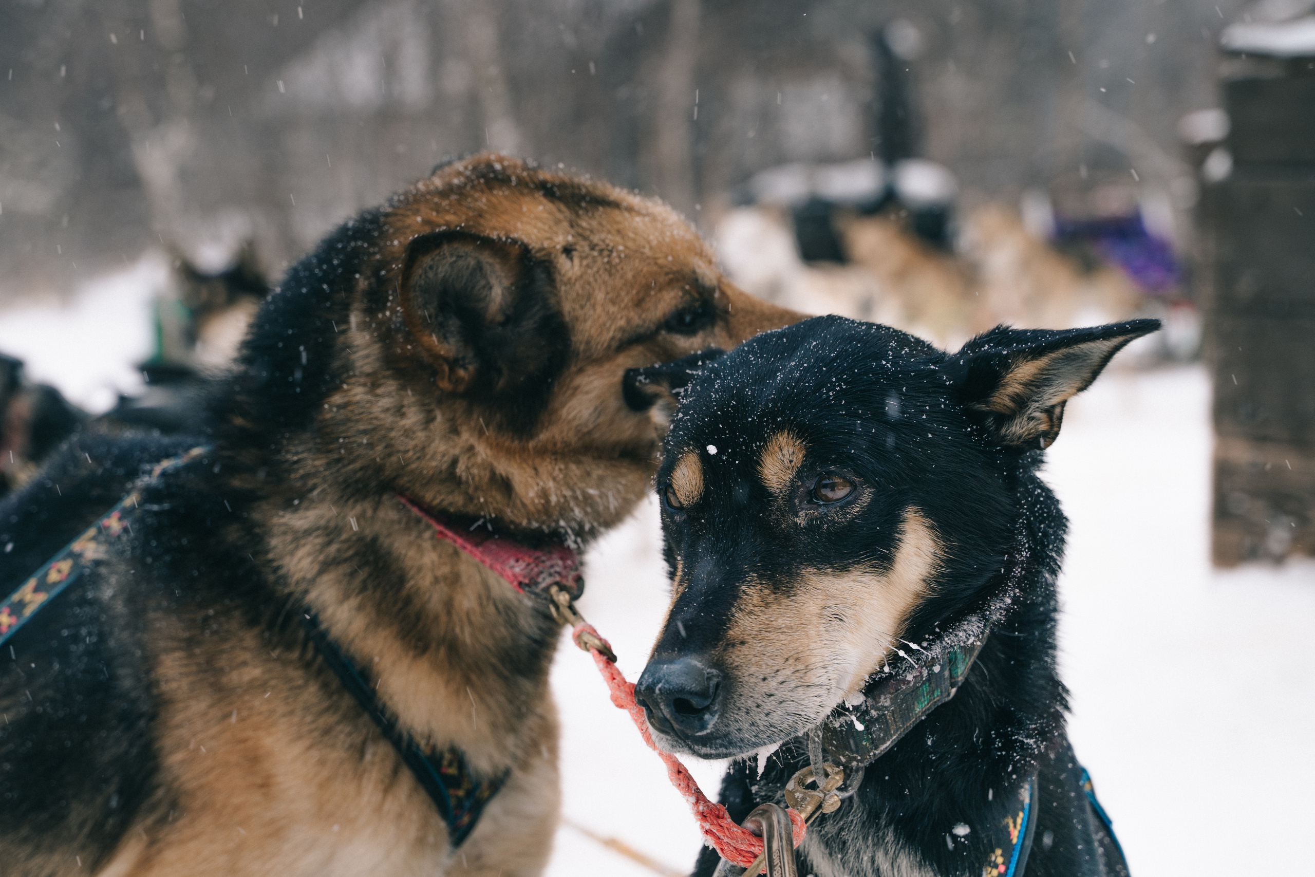 Байкал. Event фотограф Степанова Александра