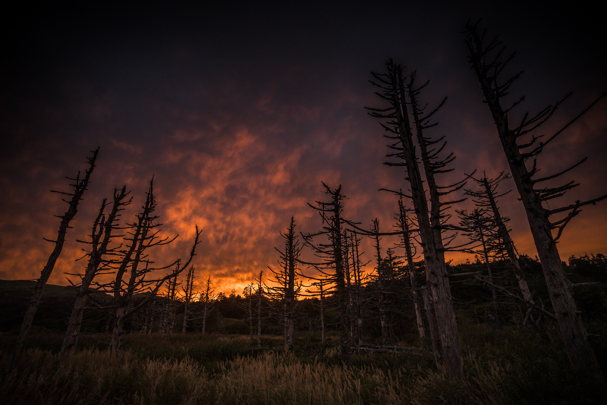 Остров Шикотан. Event фотограф Степанова Александра
