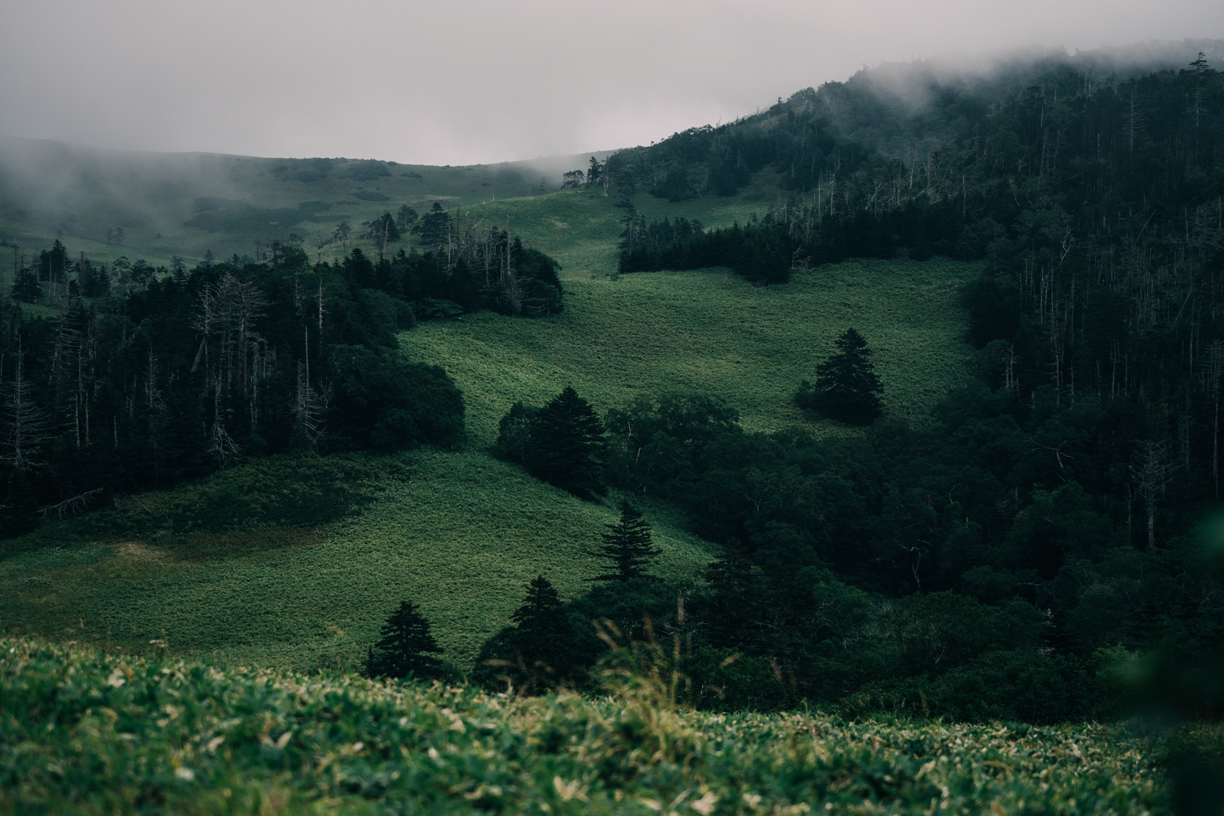 Остров Шикотан. Event фотограф Степанова Александра