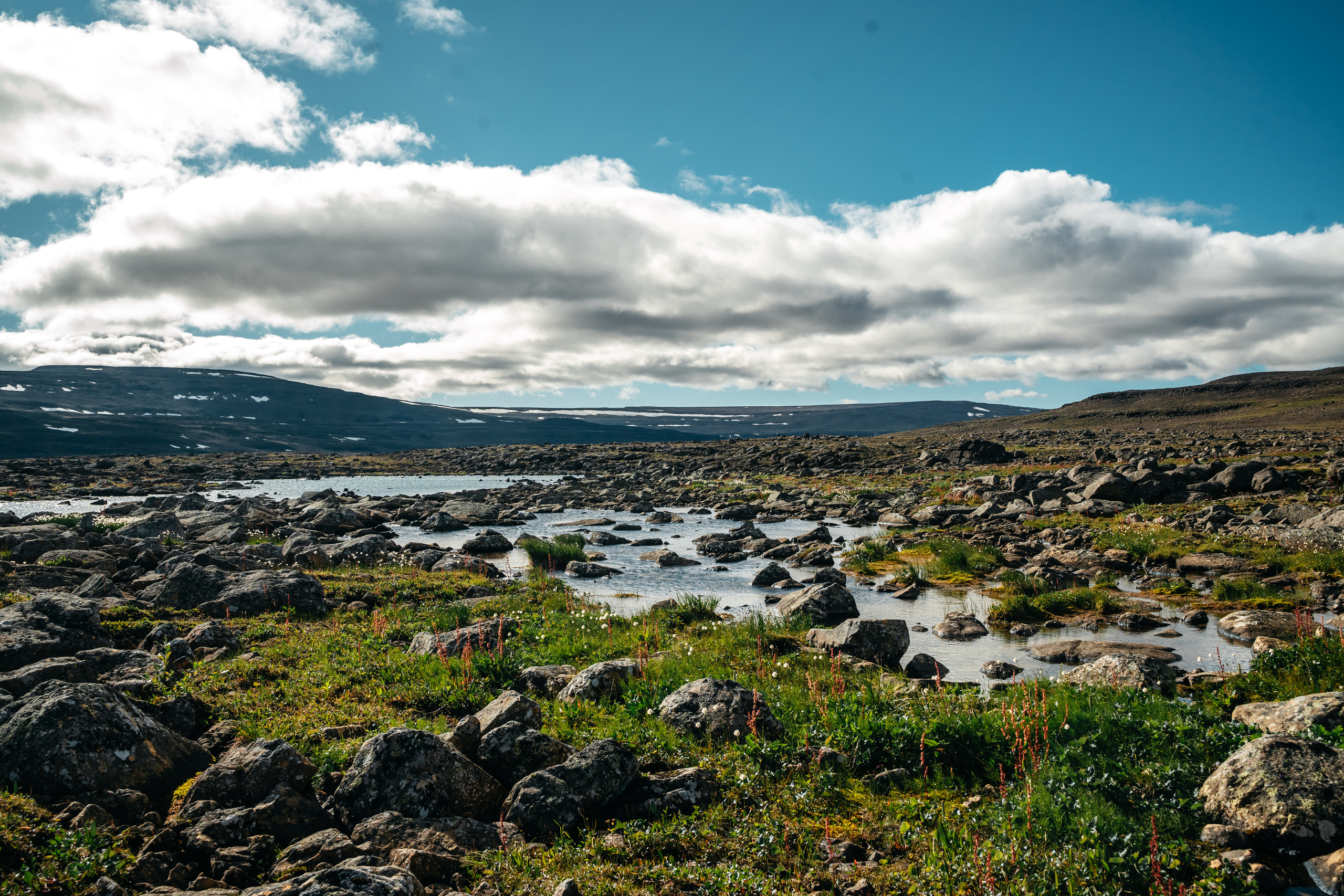 Плато ПУТОРАНА. Event фотограф Степанова Александра