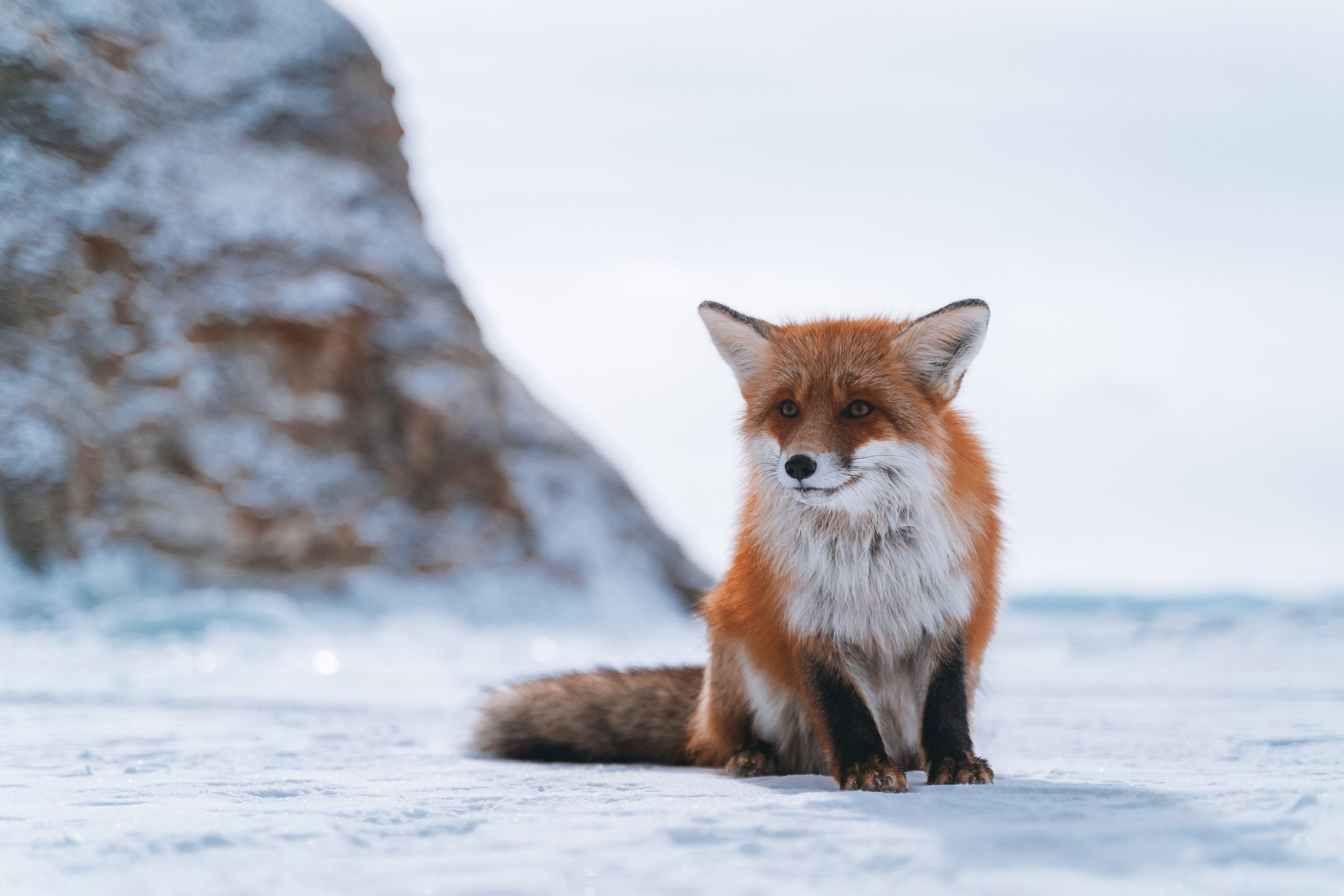 Байкал. Event фотограф Степанова Александра