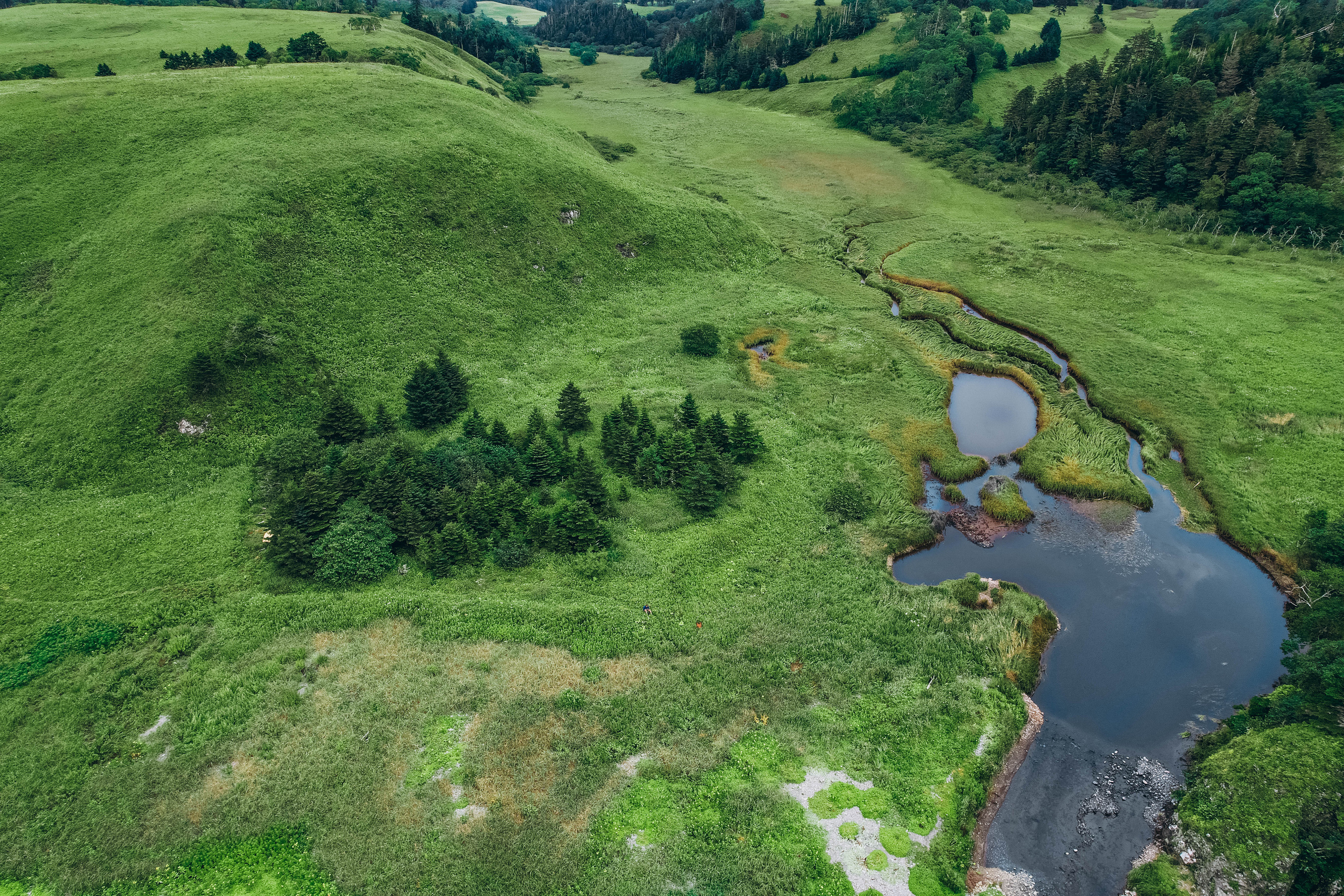 Сахалин. Event фотограф Степанова Александра