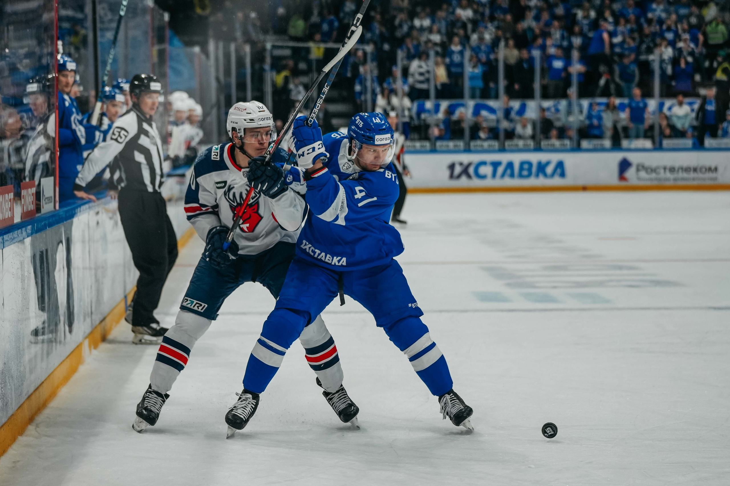 Хоккей. Репортаж. Динамо-Торпедо 2023. Event фотограф Степанова Александра
