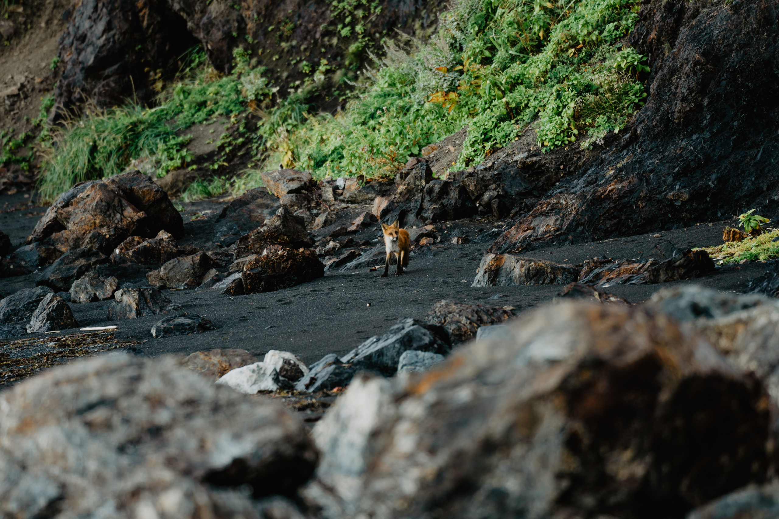 Сахалин. Event фотограф Степанова Александра