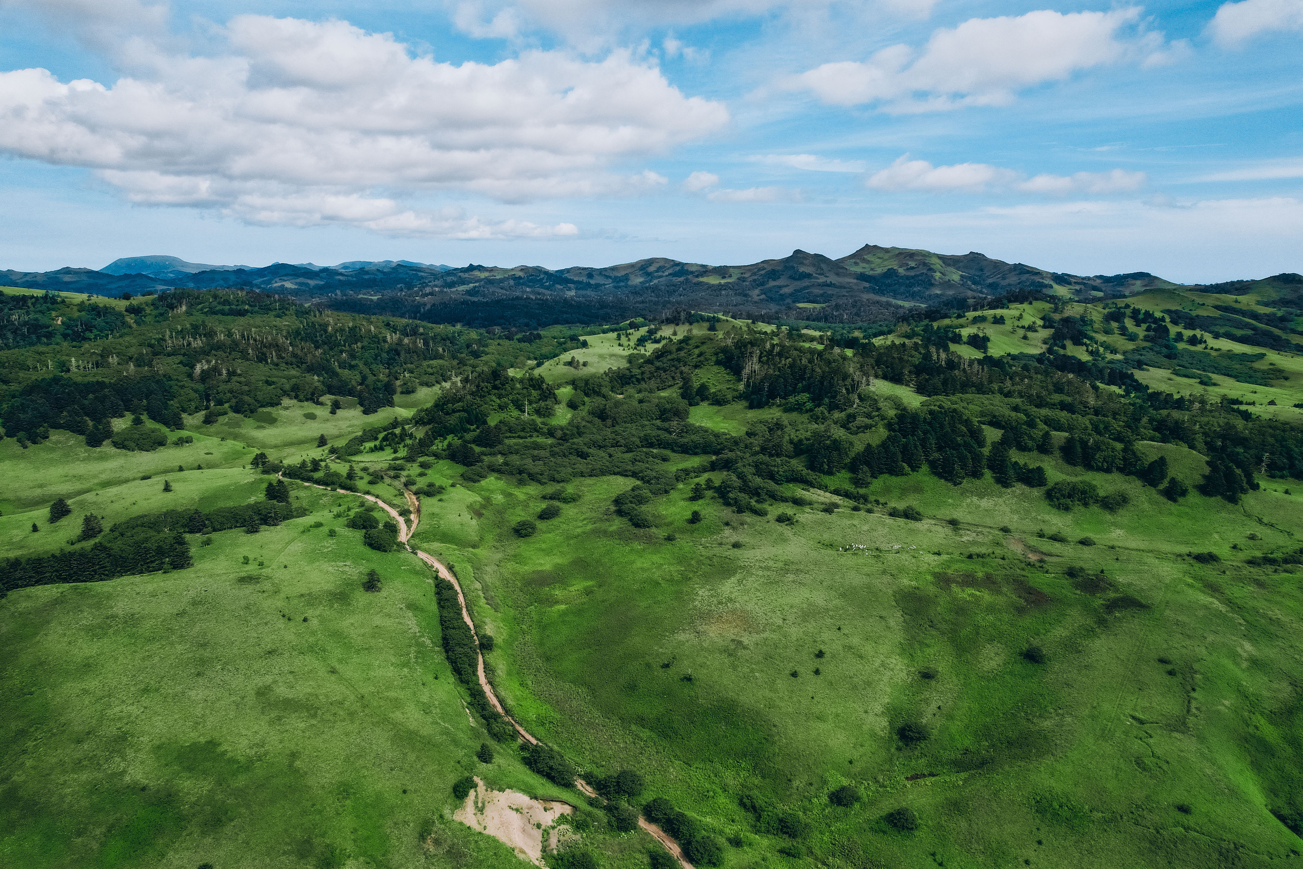 Сахалин. Event фотограф Степанова Александра