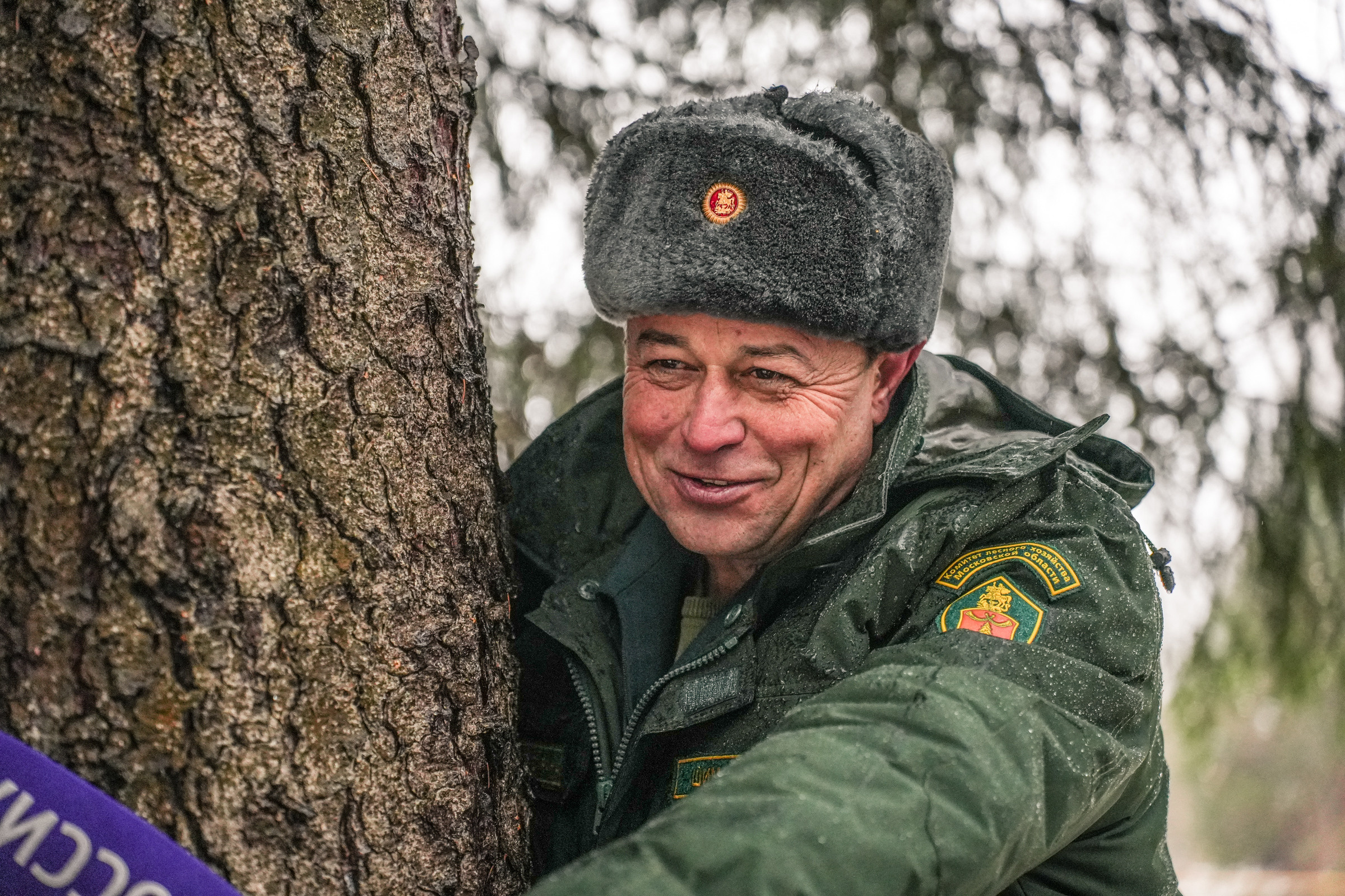 Спил Кремлевской ёлки под Волоколамском. Event фотограф Степанова Александра