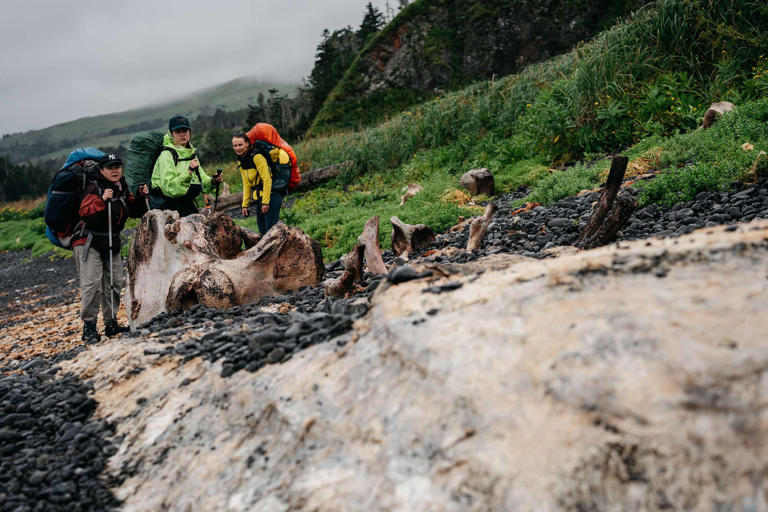 Сахалин. Event фотограф Степанова Александра