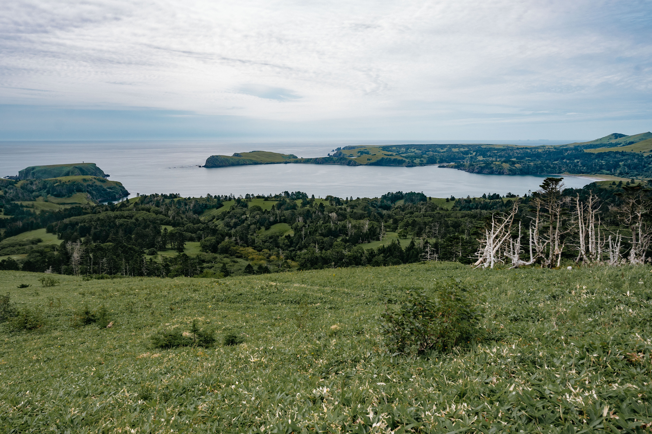 Сахалин. Event фотограф Степанова Александра