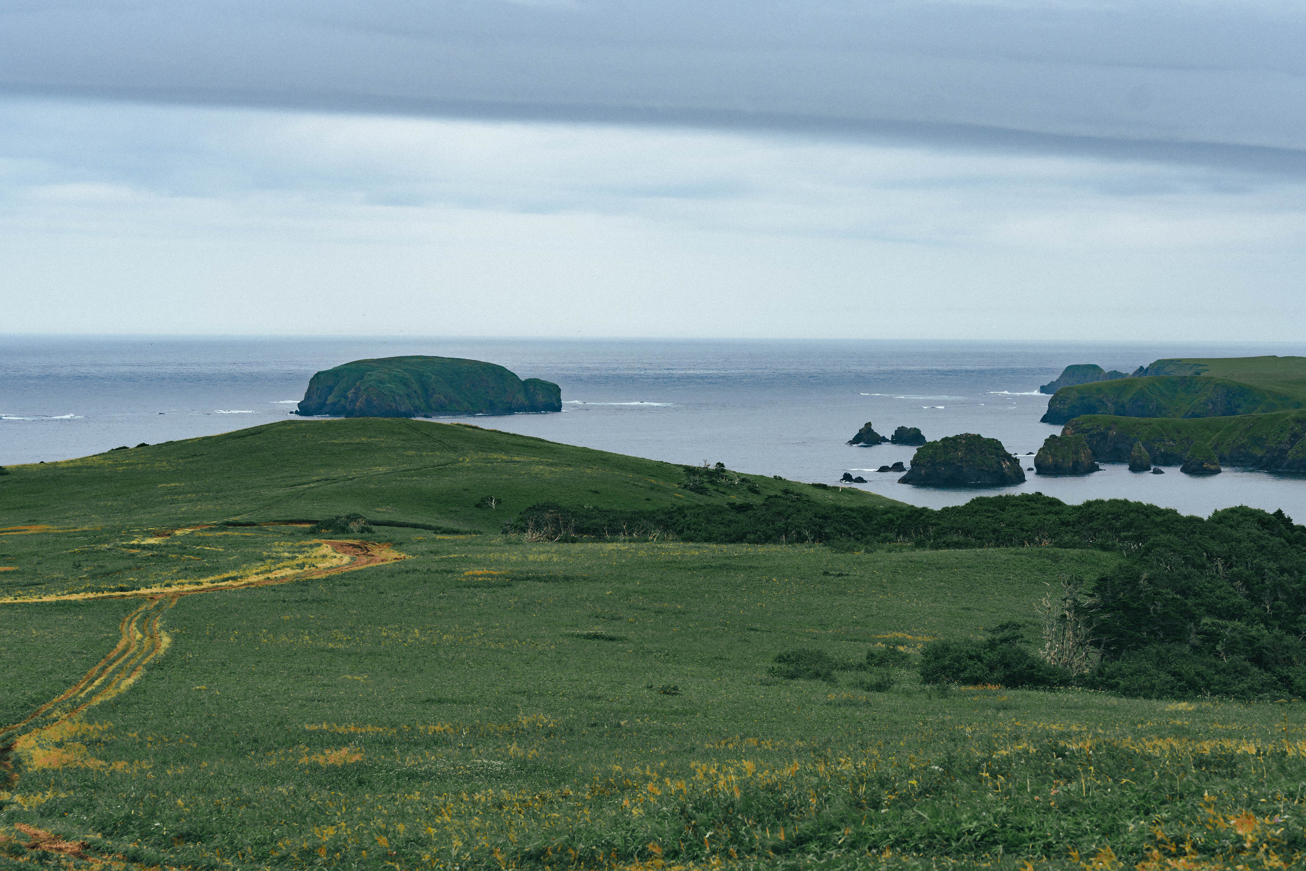Сахалин. Event фотограф Степанова Александра