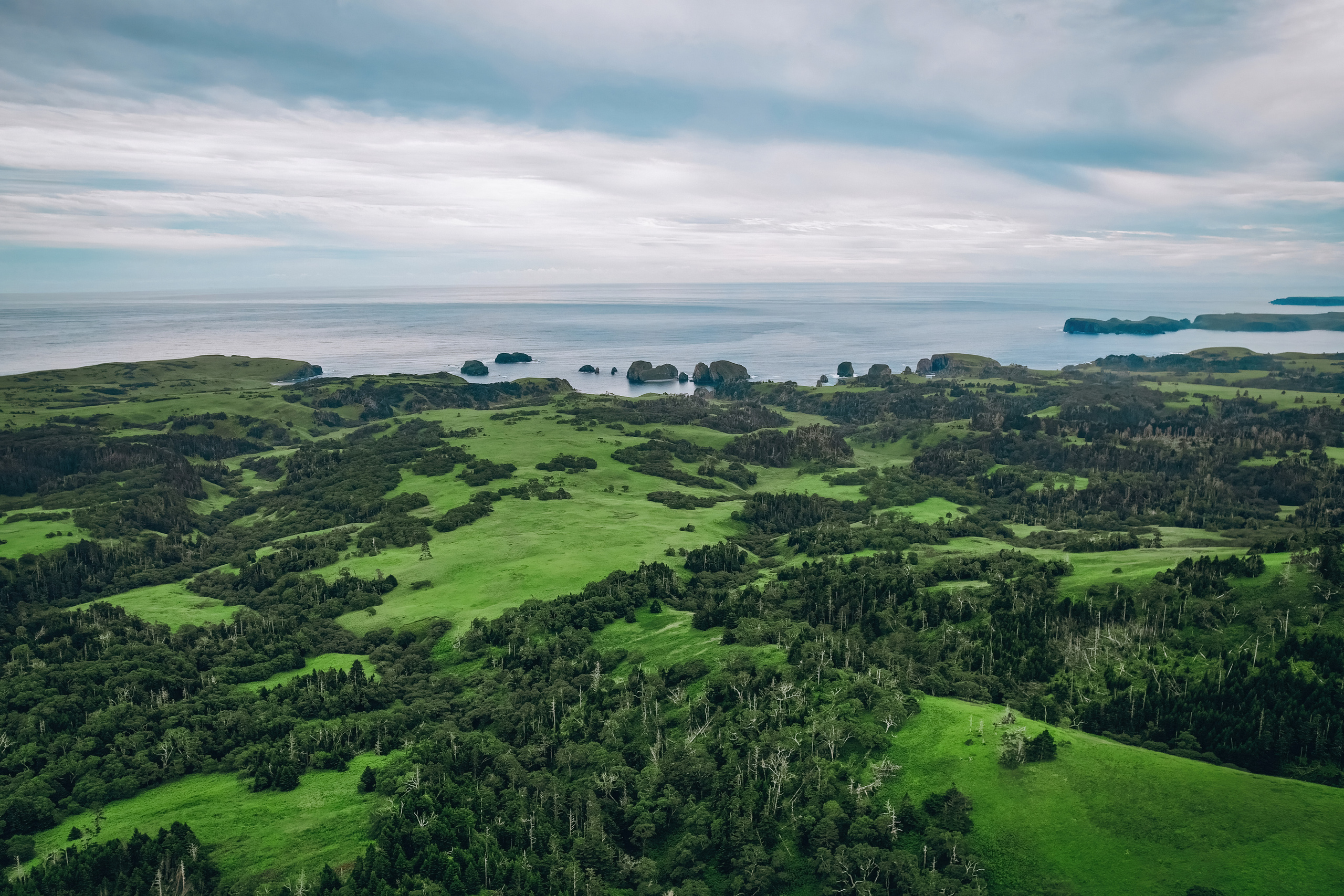 Сахалин. Event фотограф Степанова Александра