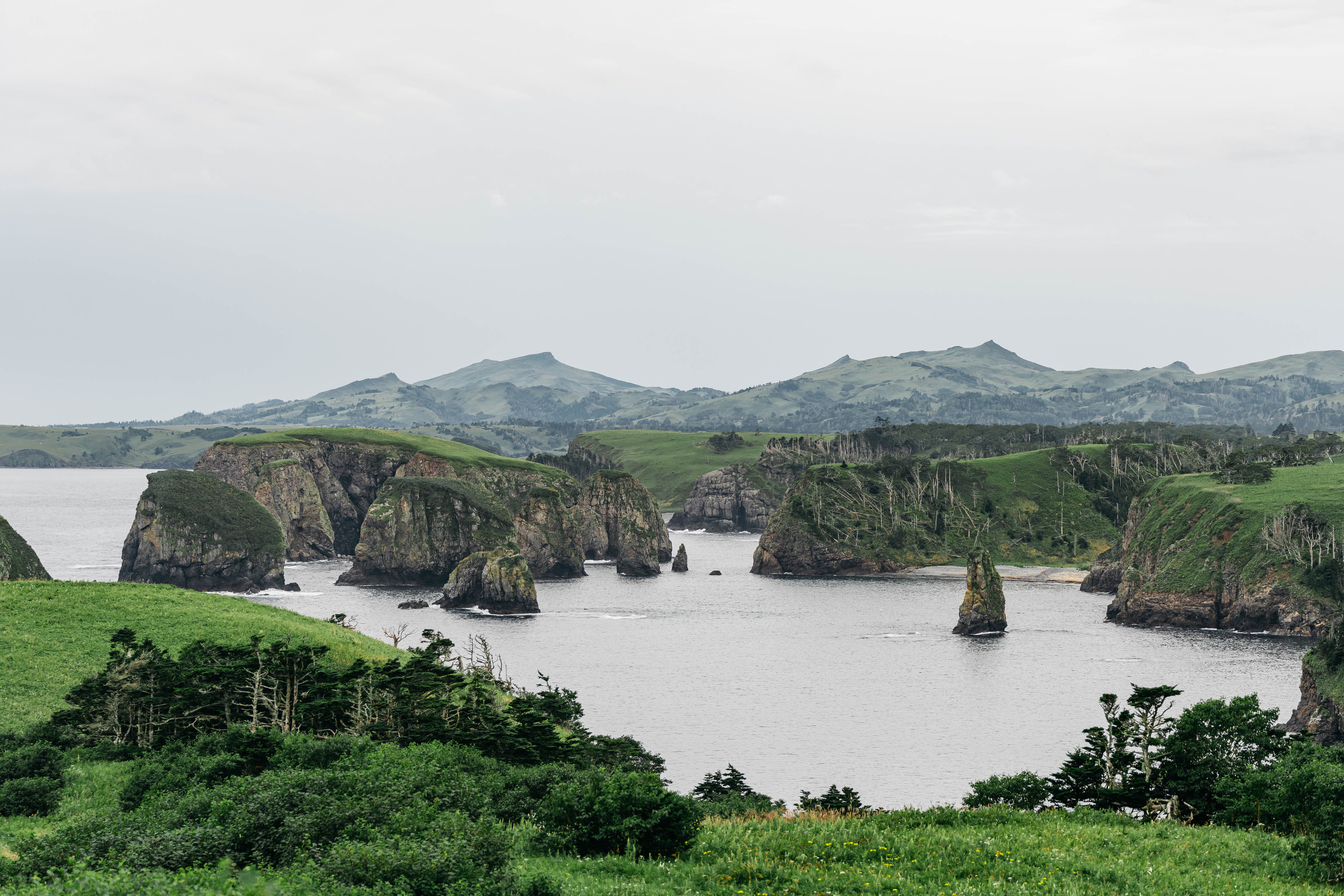 Сахалин. Event фотограф Степанова Александра