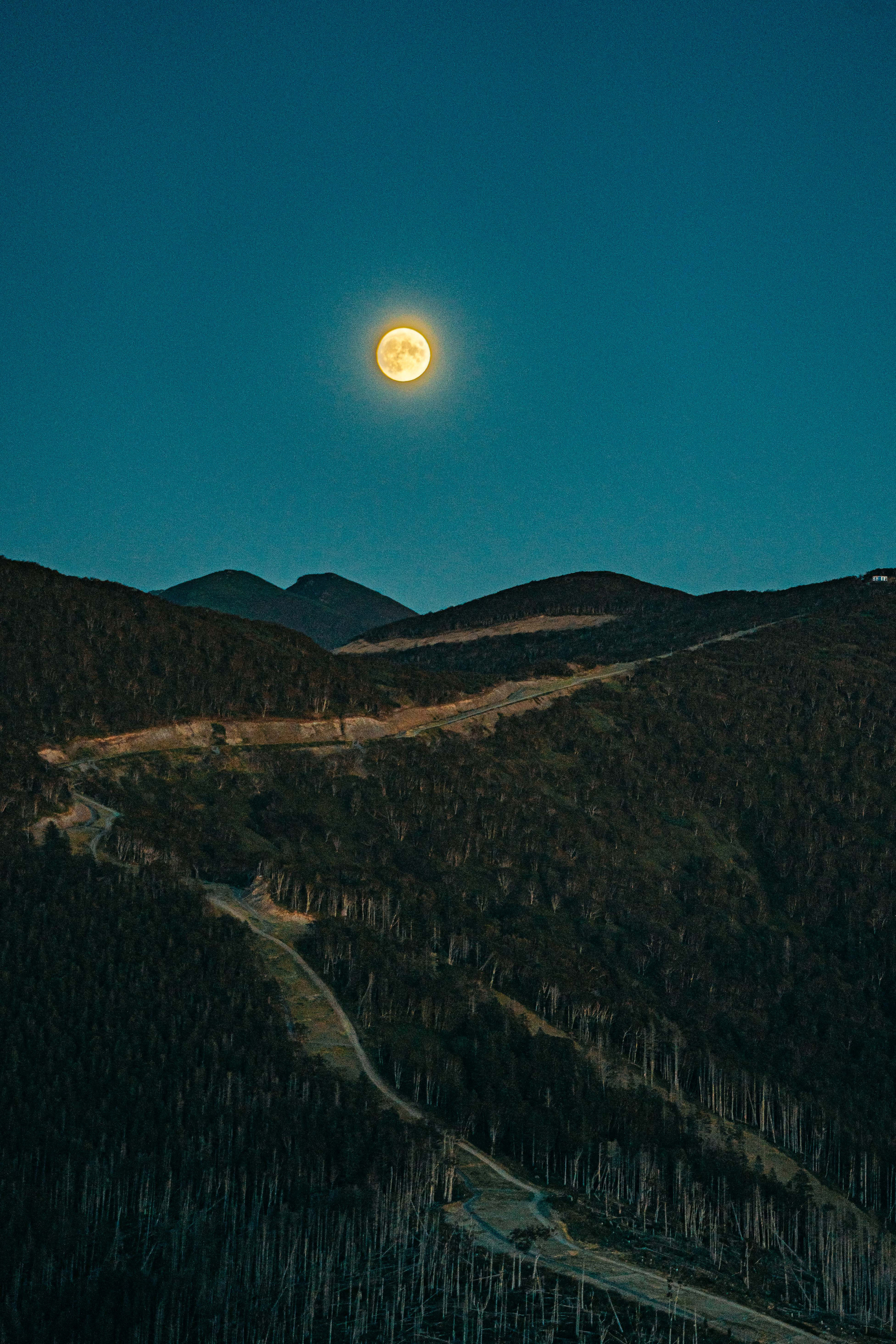 Сахалин. Event фотограф Степанова Александра