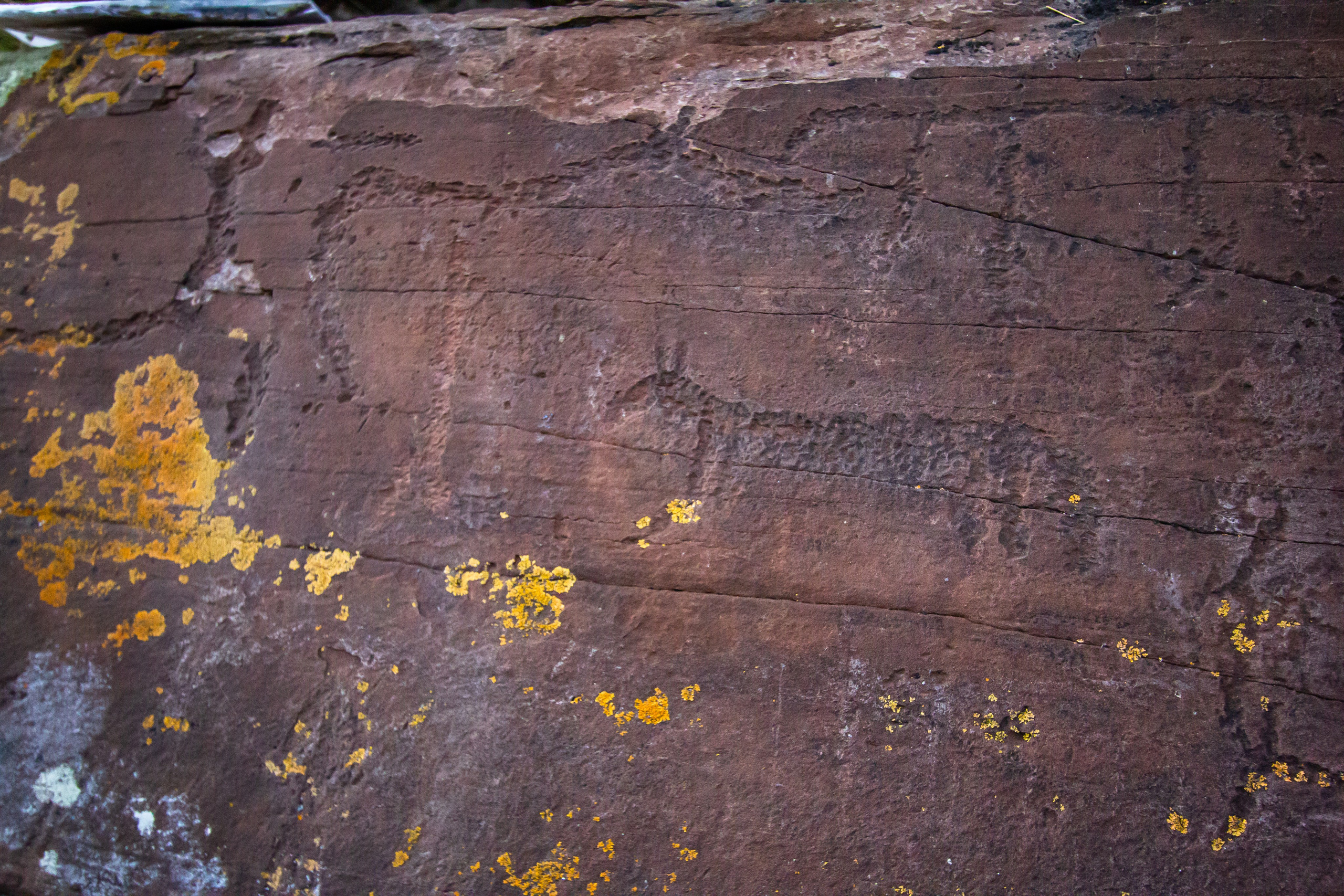 Тыва и Хакасия. Travel-фотограф Ирина Милинцова