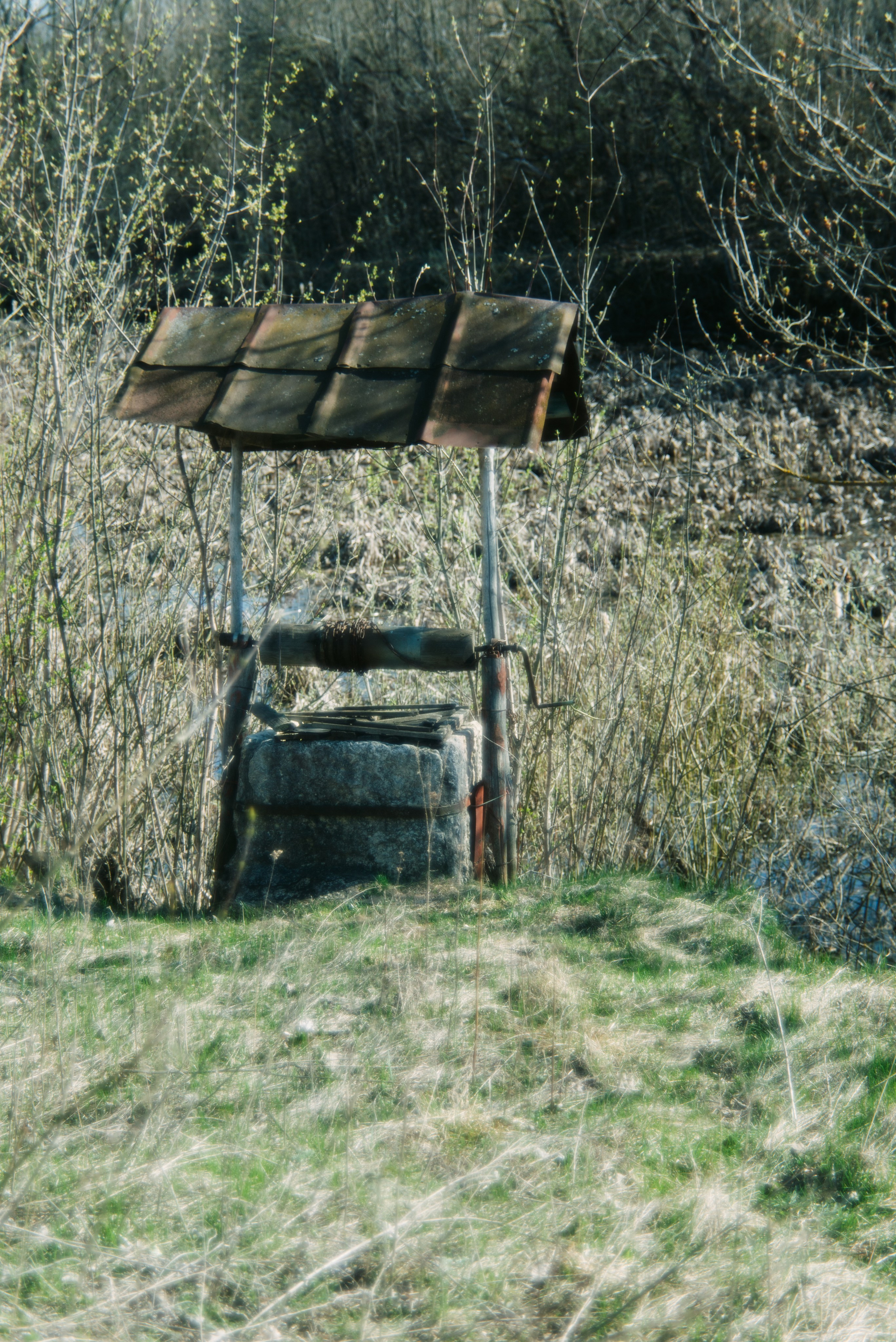 Орановка. Репортажный и портретный фотограф в Липецкой, Воронежской, Московской области Тёма Белоусов