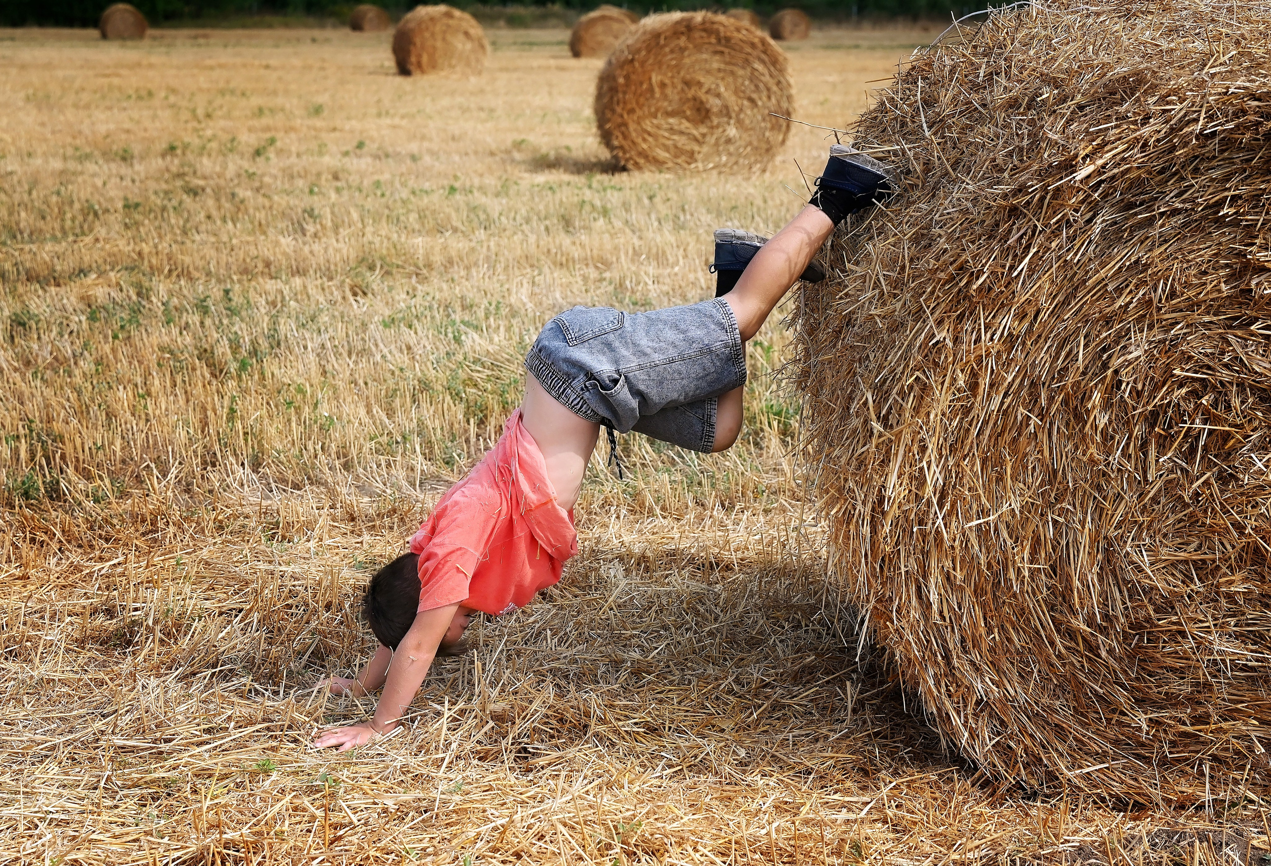 Сено. Главная