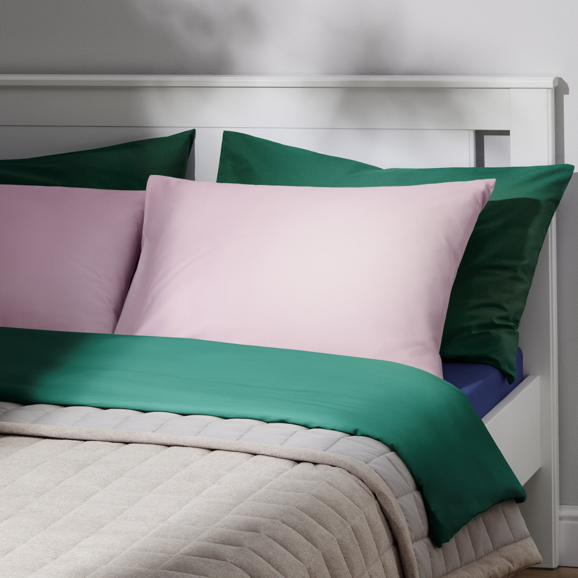 Пледы Pragma. Олег Дмитриев