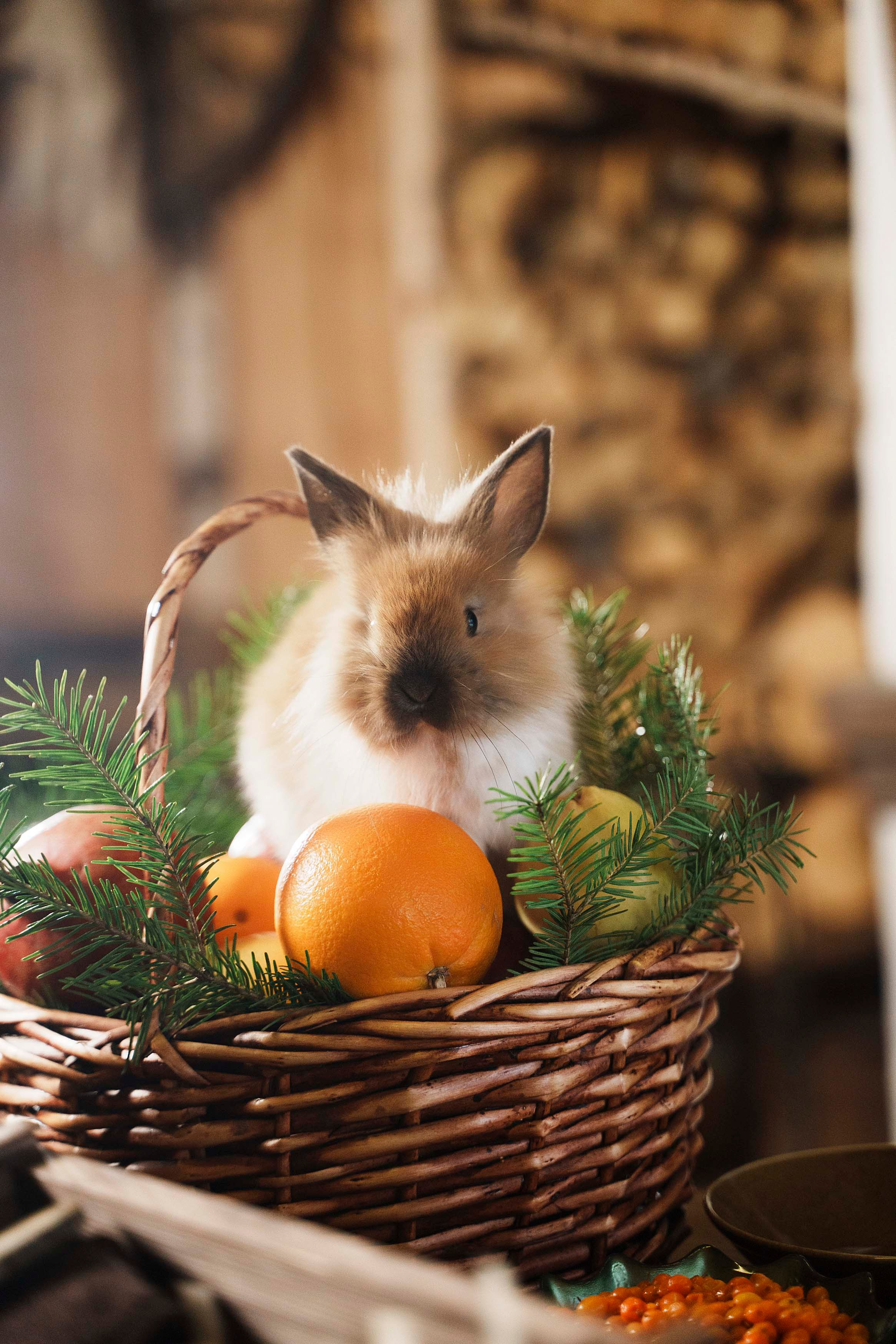 Банный комплекс «Пар-Парок». Фотограф Казань